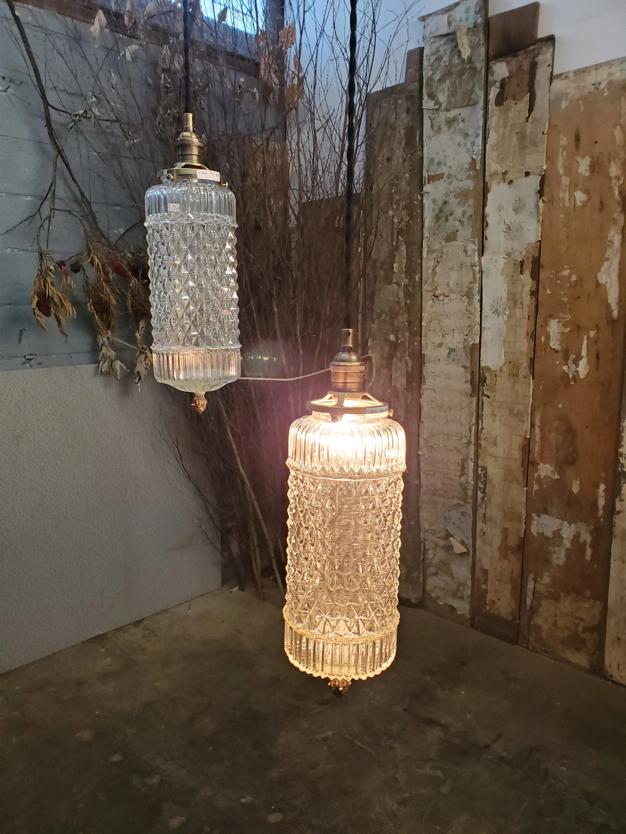 2026-02-15 14.10.50.jpg