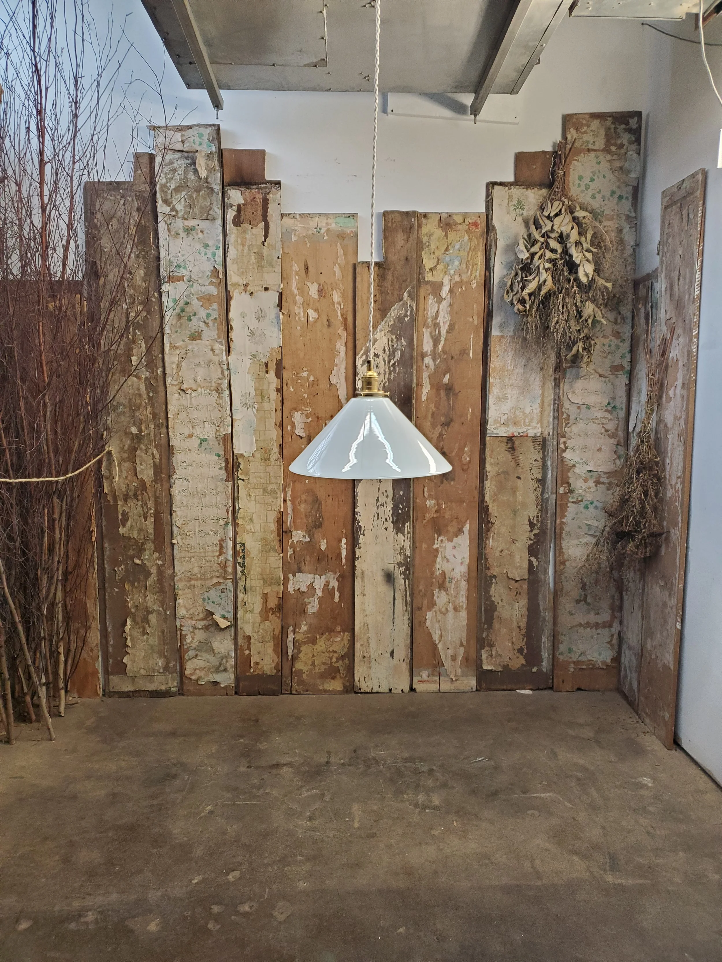 2026-02-16 14.17.28.jpg