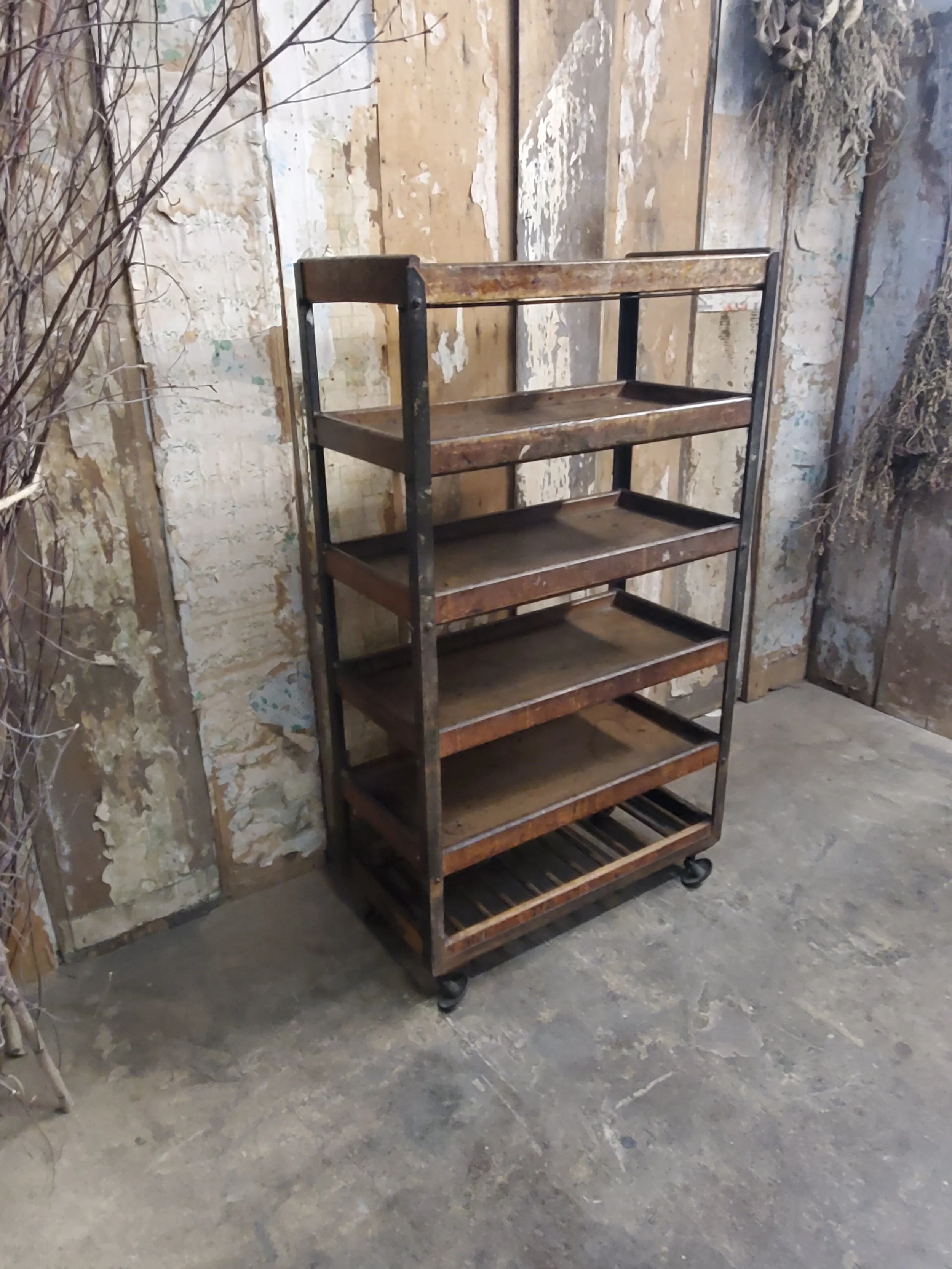 2026-03-21 18.41.13.jpg