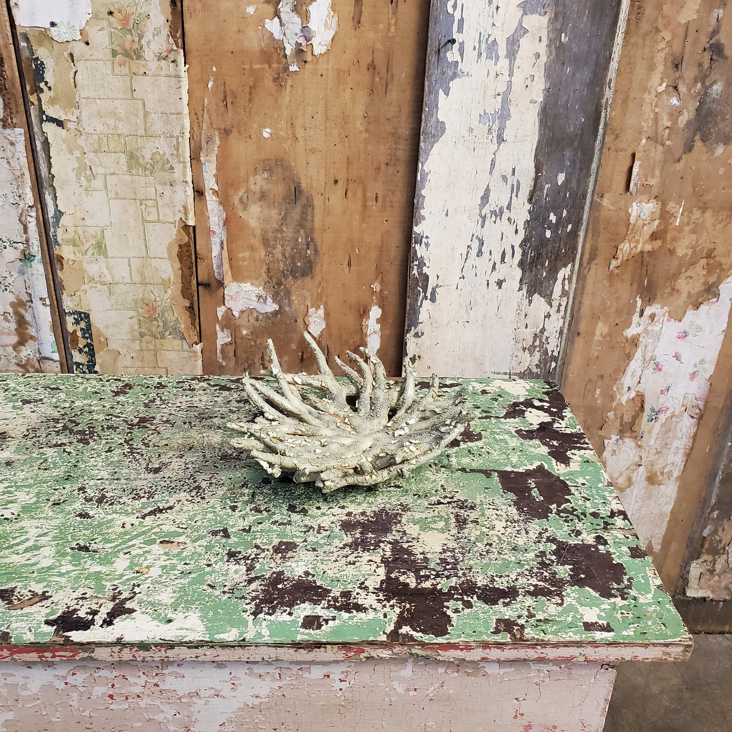 2025-08-14 17.06.04.jpg