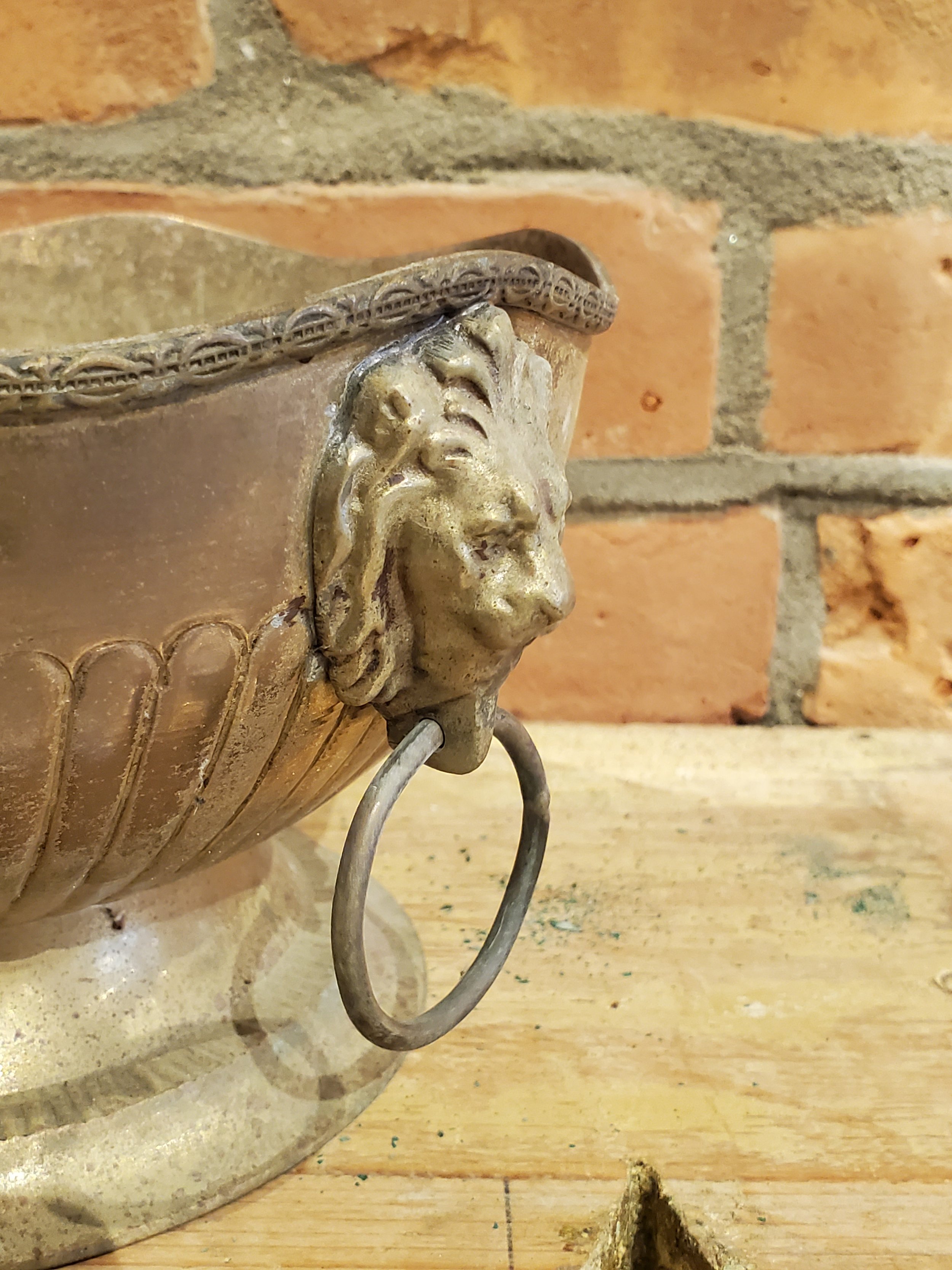 2026-02-11 12.30.20.jpg