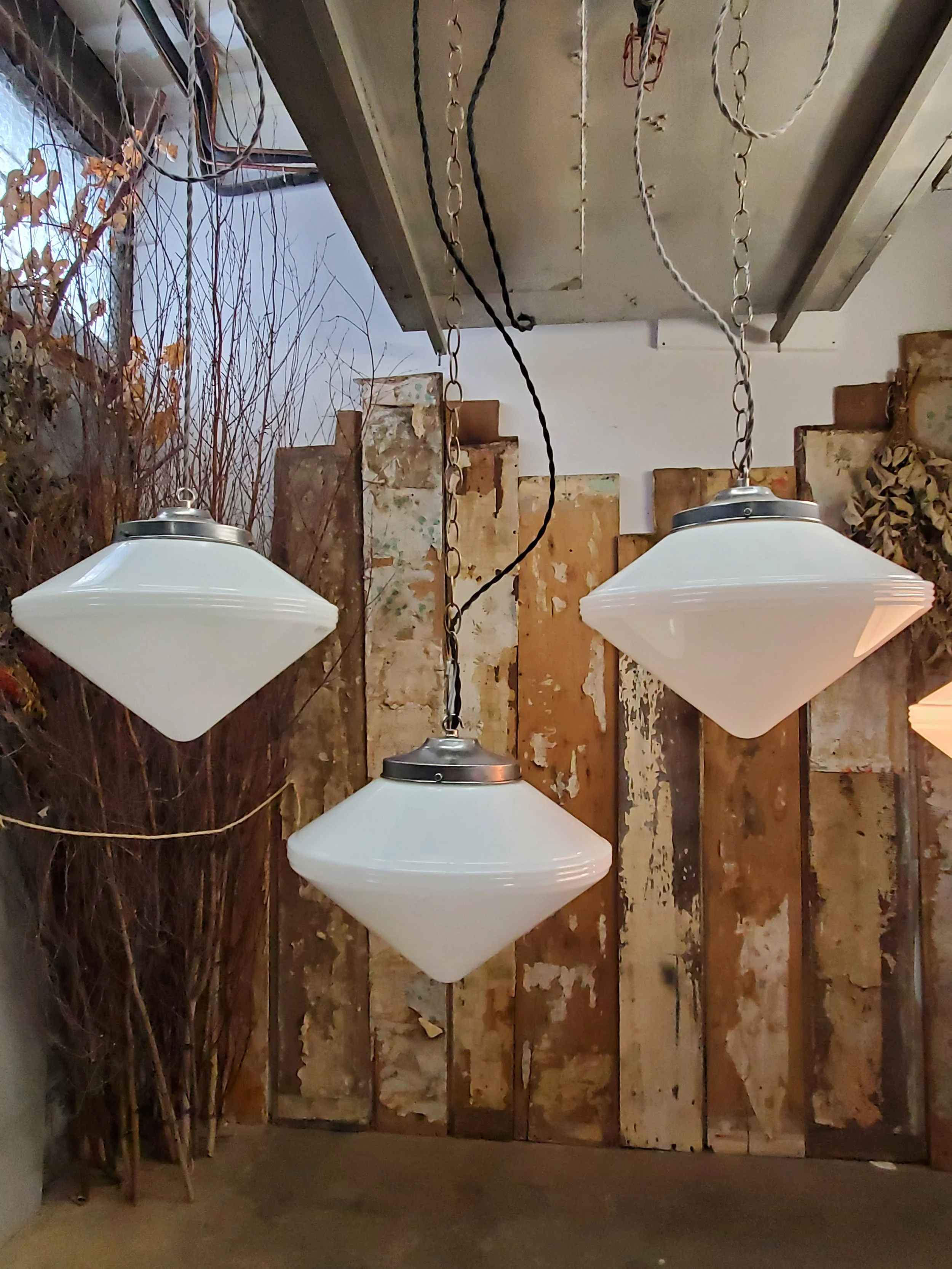 2026-02-20 13.05.01.jpg