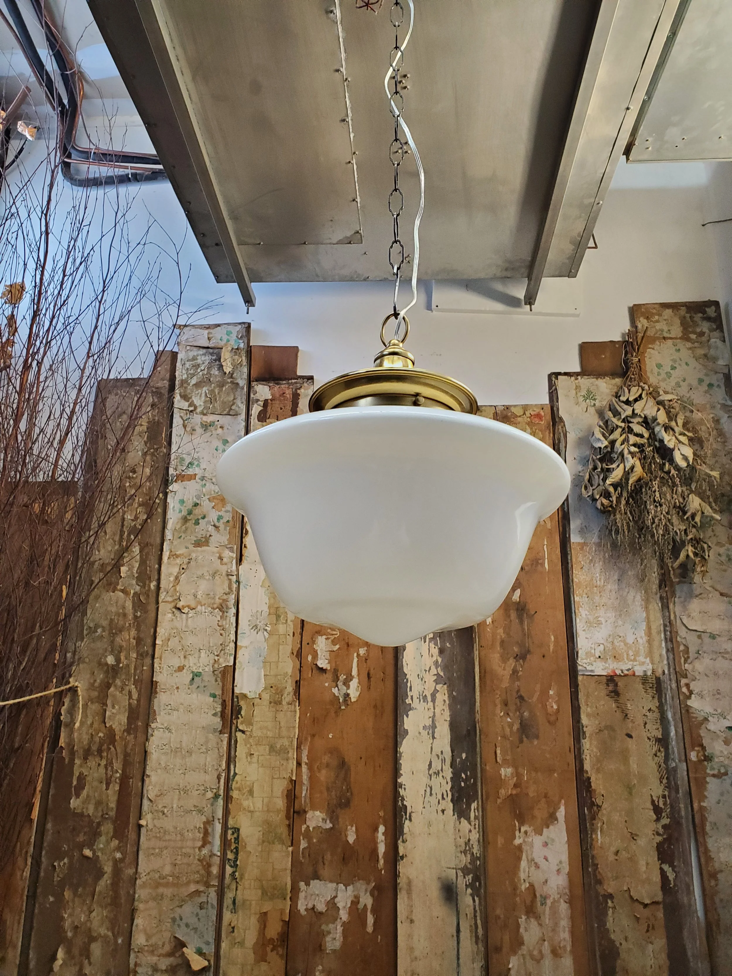 2026-02-19 12.18.36.jpg (copie)