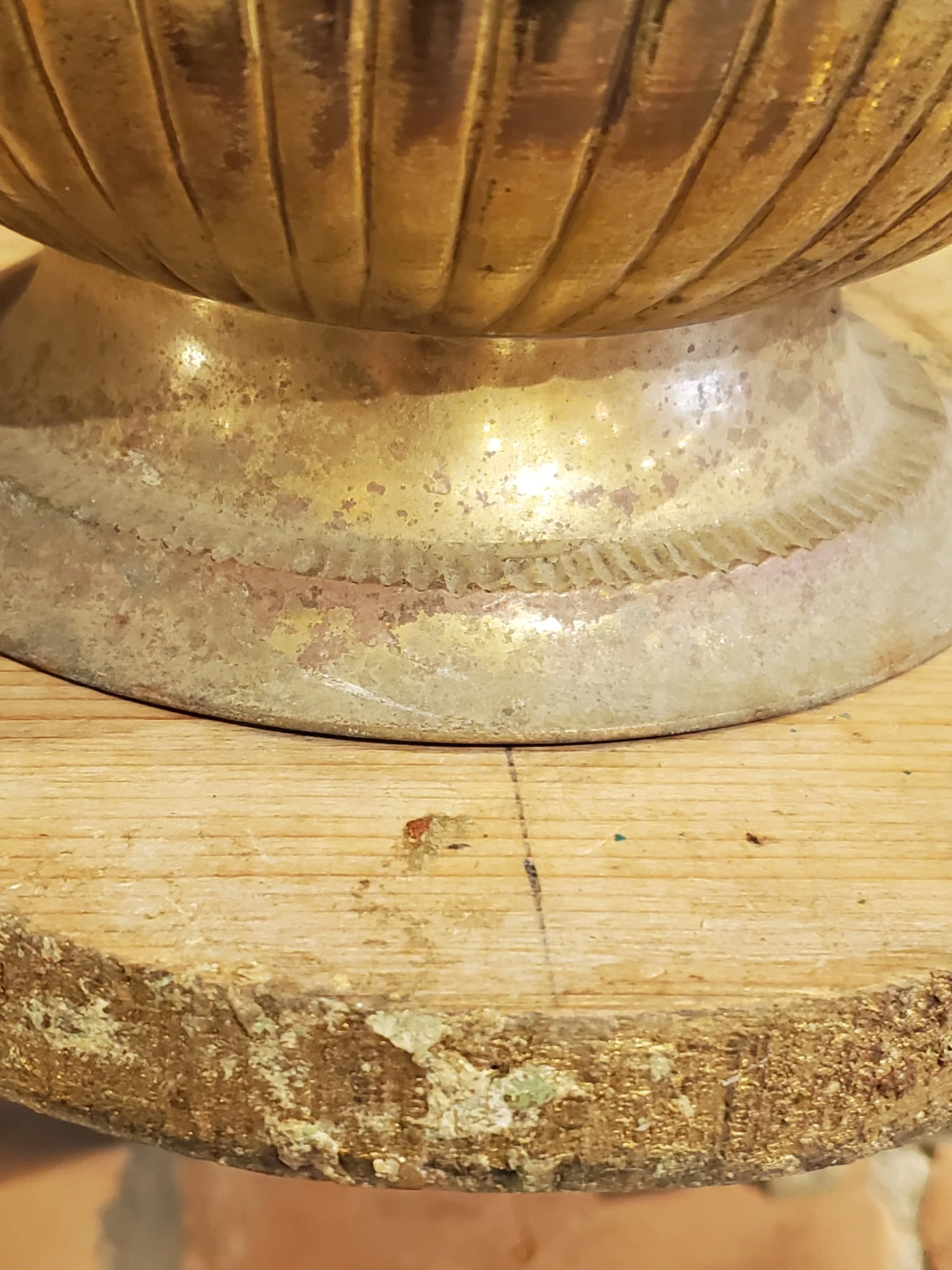 2026-02-11 12.31.27.jpg