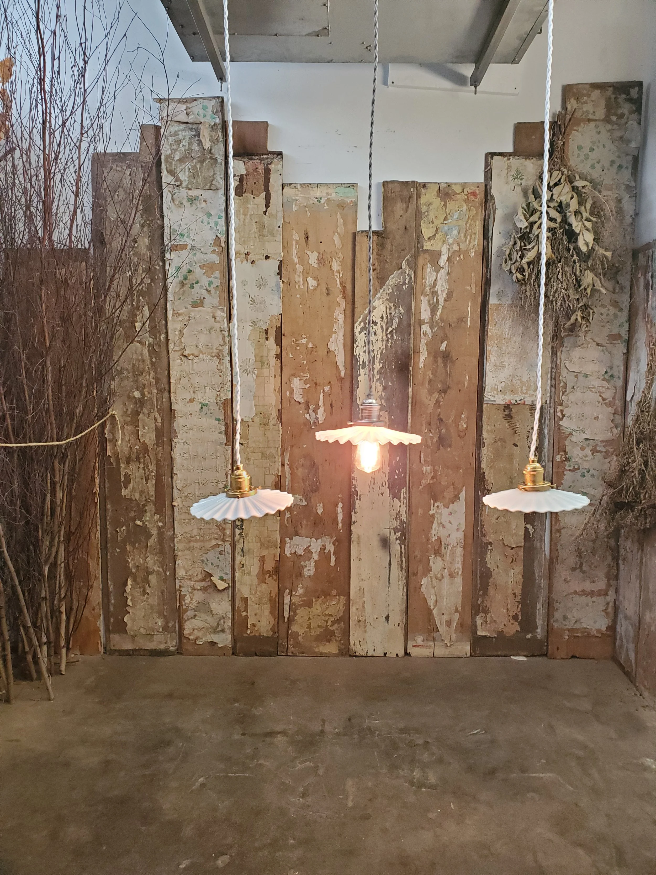 2026-02-16 13.50.10.jpg