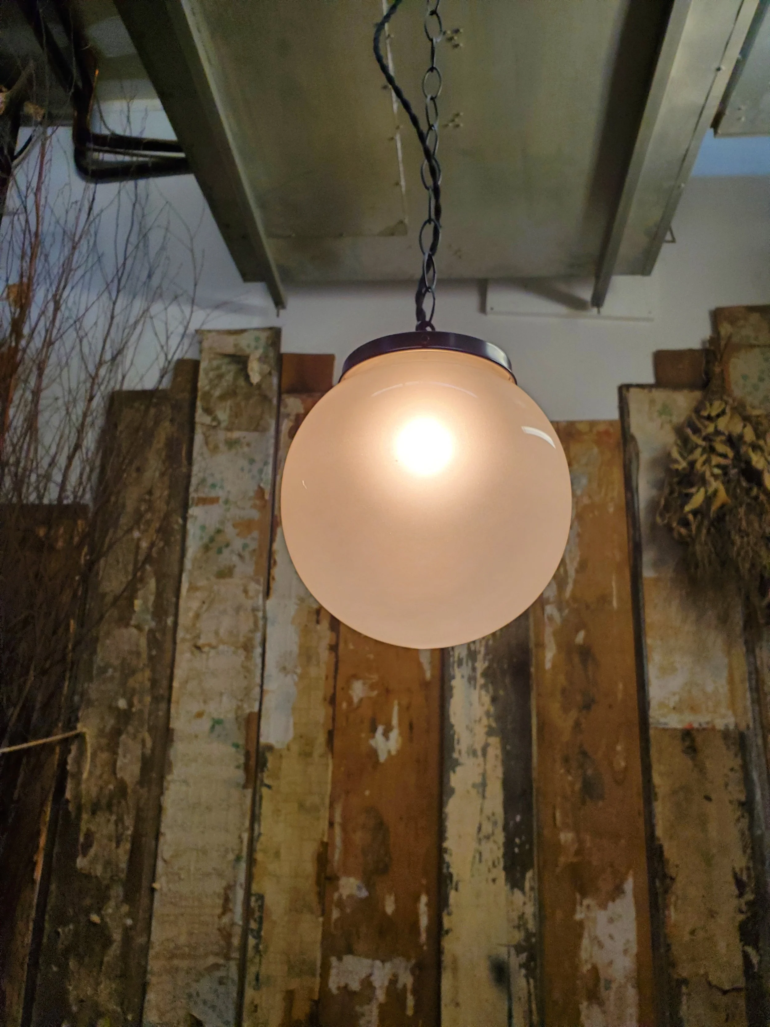 2026-03-08 18.44.15.jpg