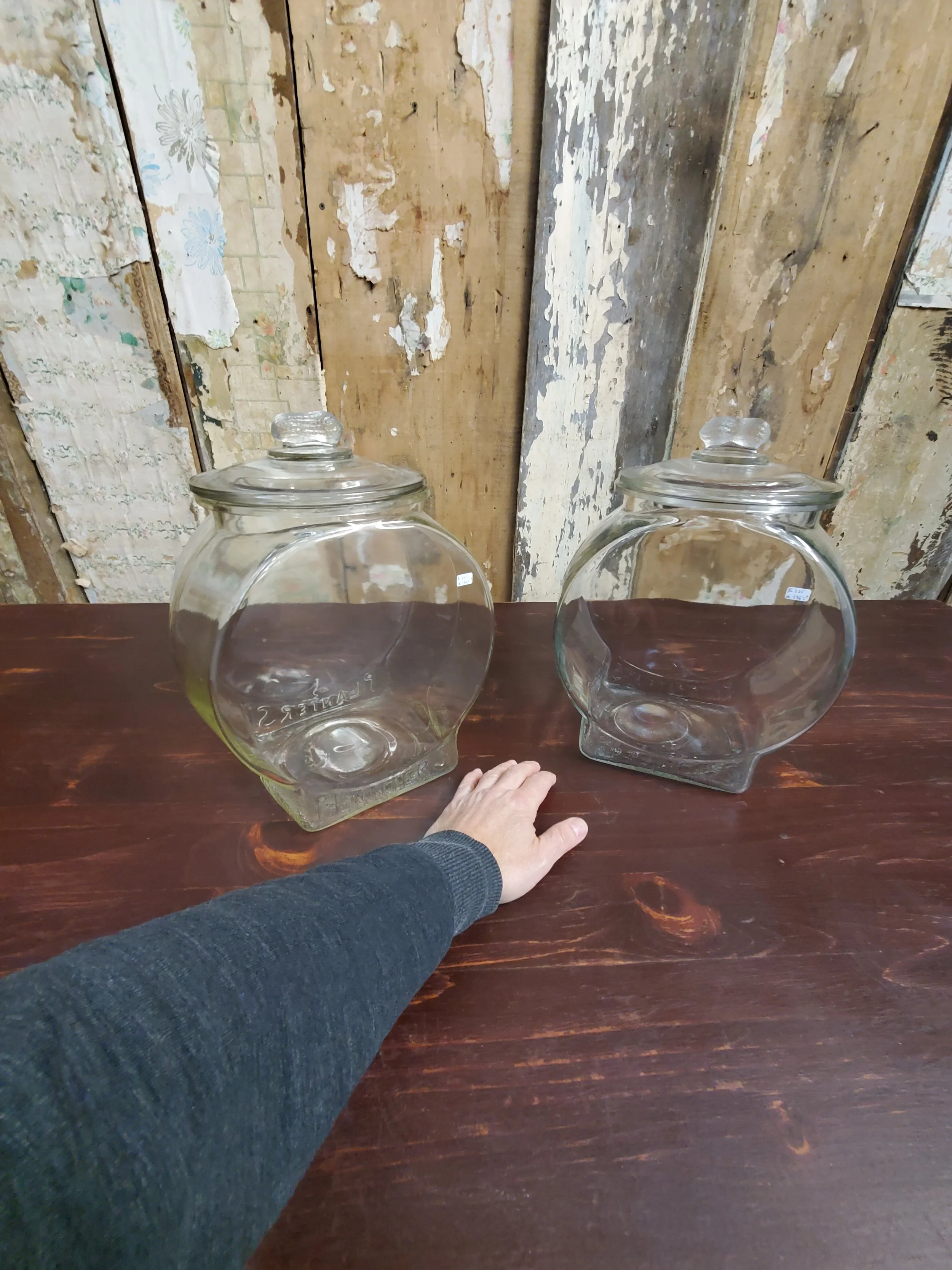 2026-01-13 14.49.53.jpg