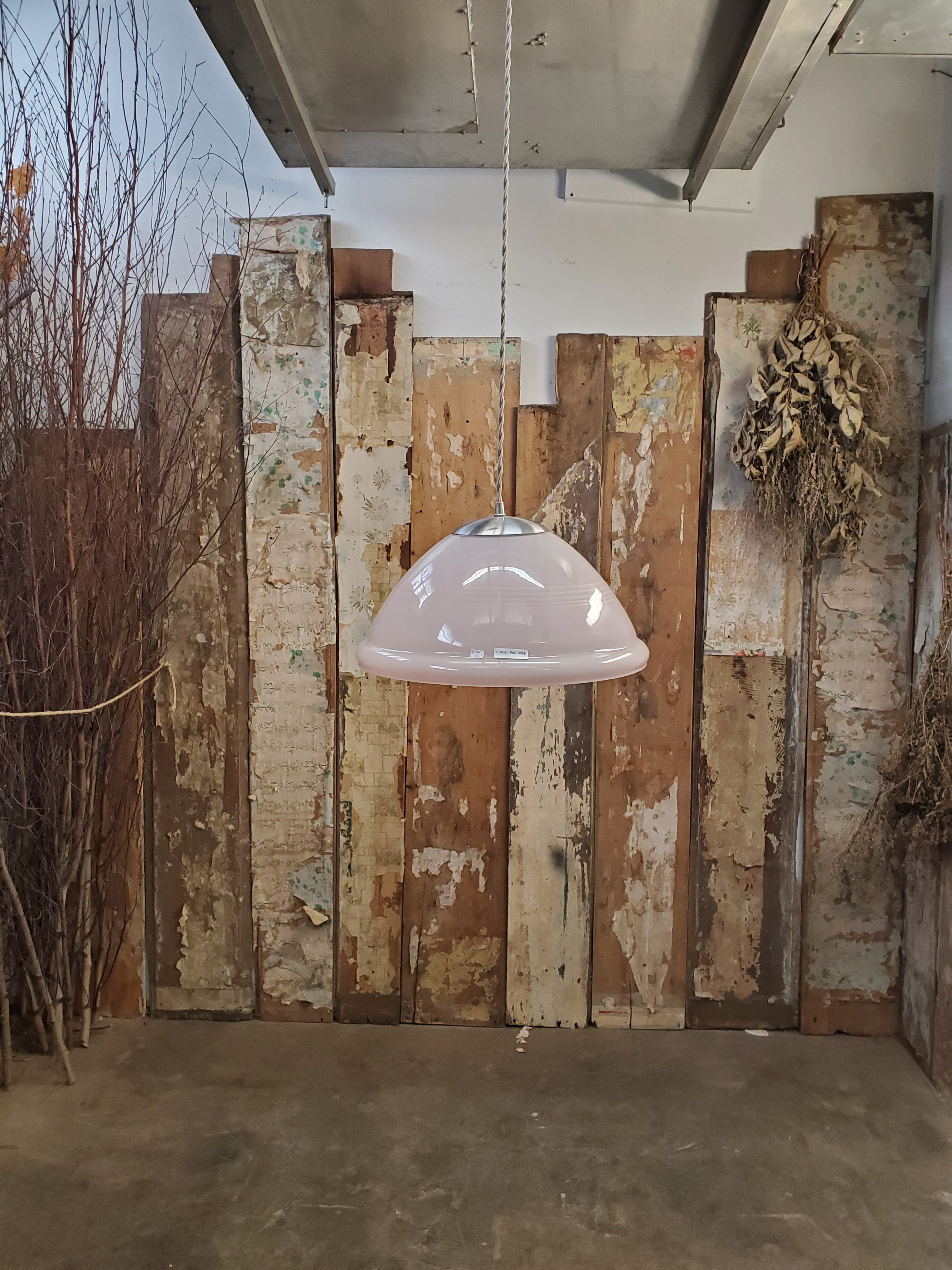 2026-02-26 14.15.54.jpg