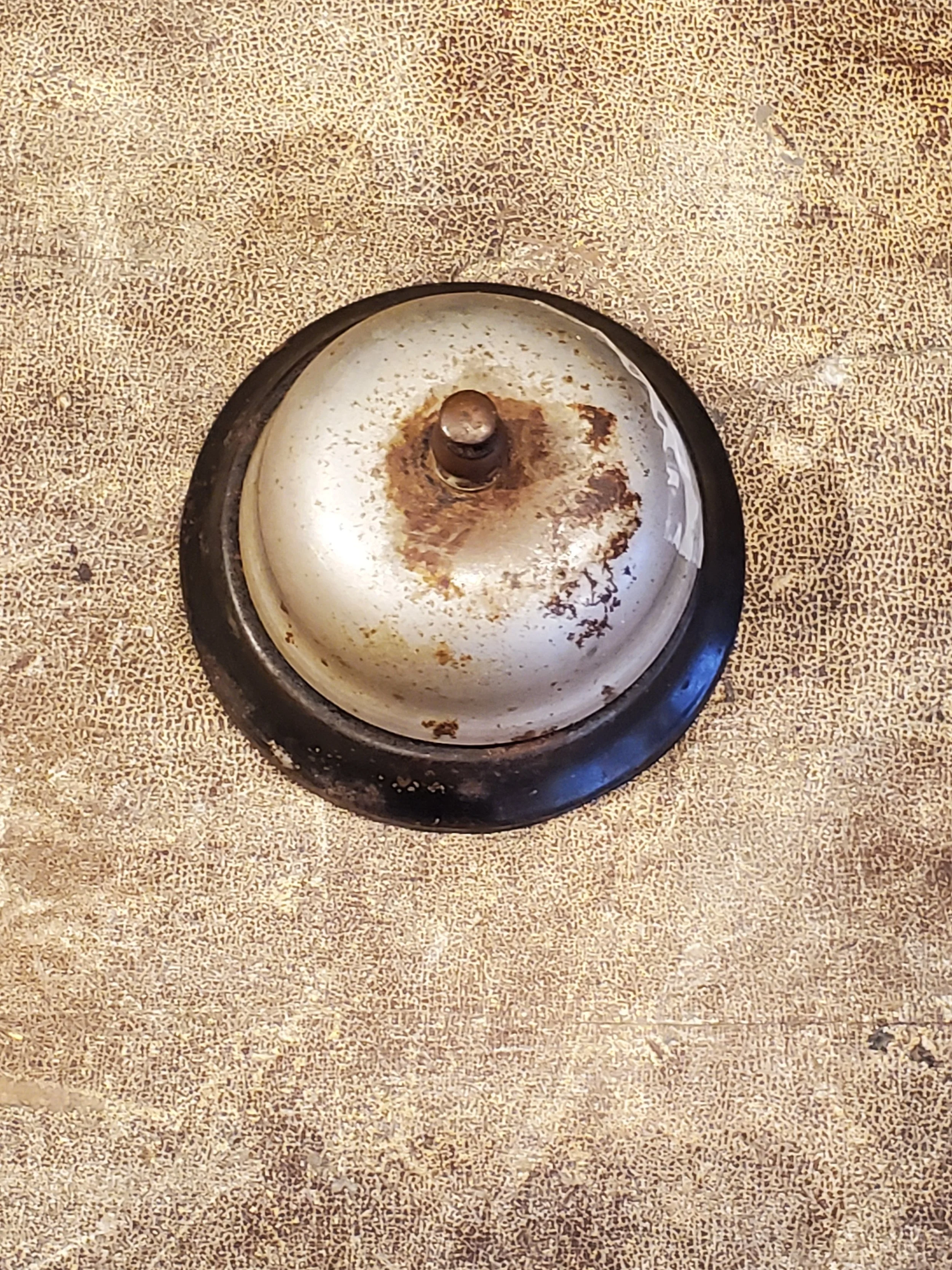 2026-02-16 12.05.06.jpg