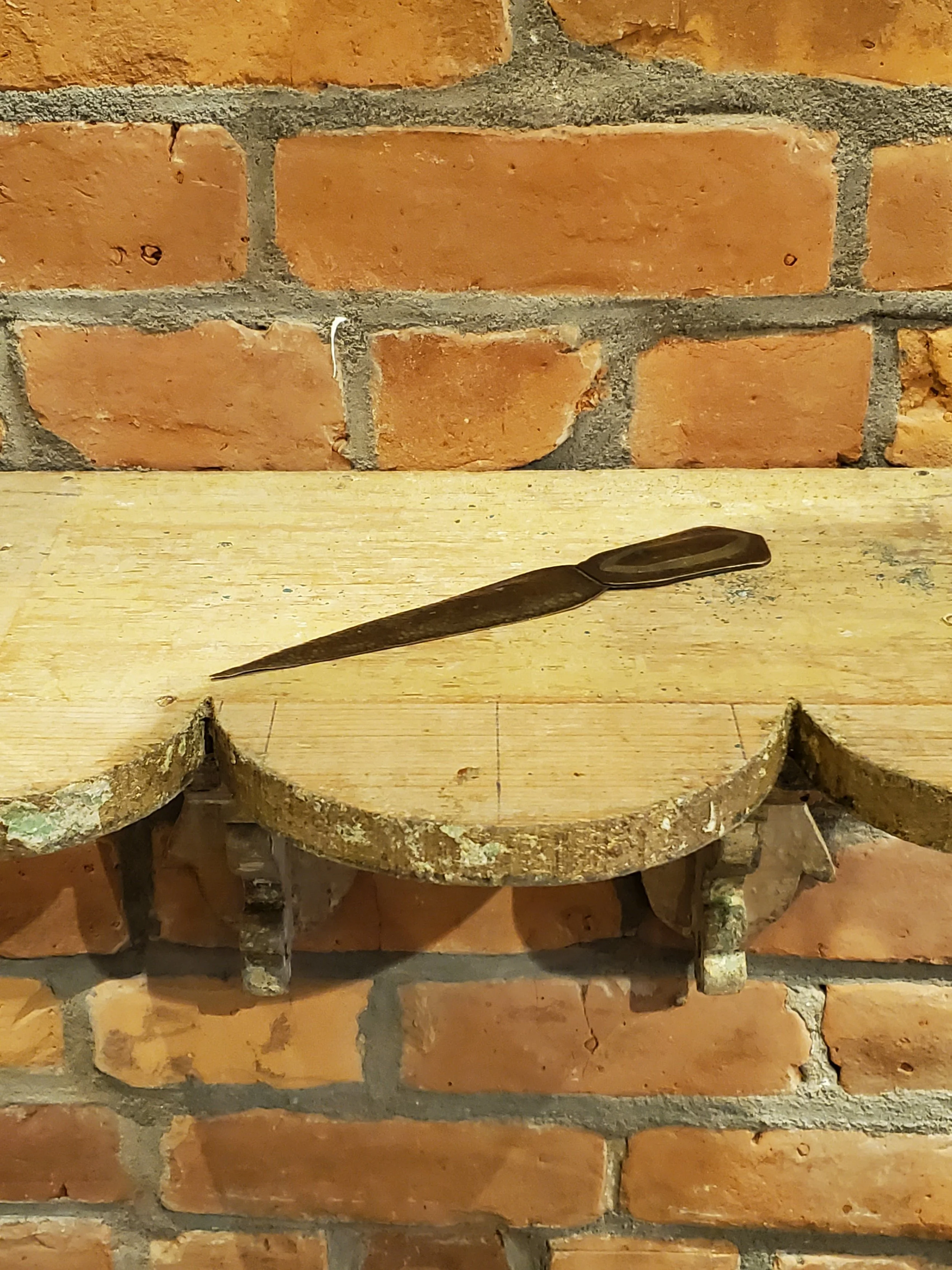 2026-02-11 12.37.20.jpg