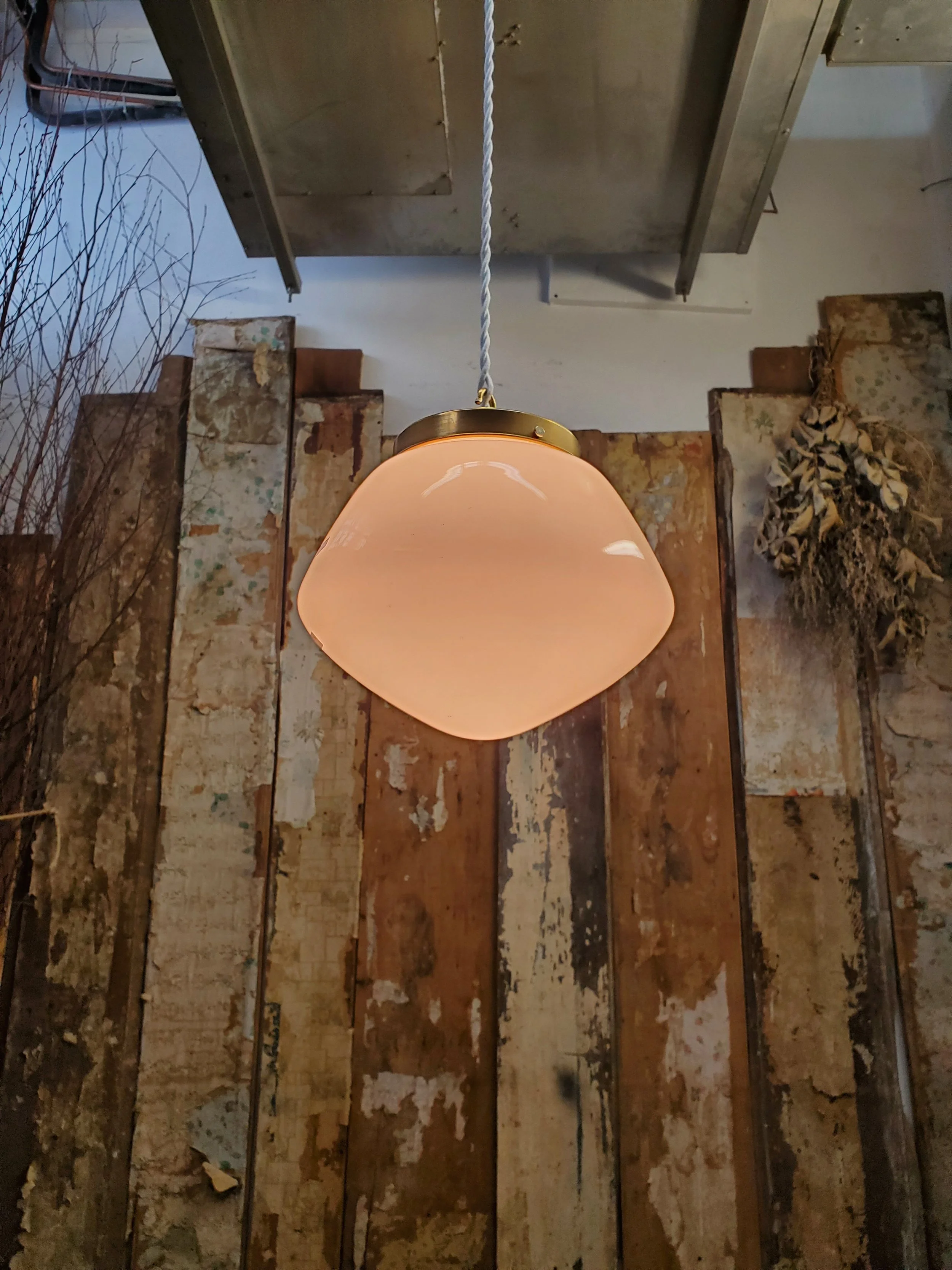 2026-02-16 14.30.06.jpg