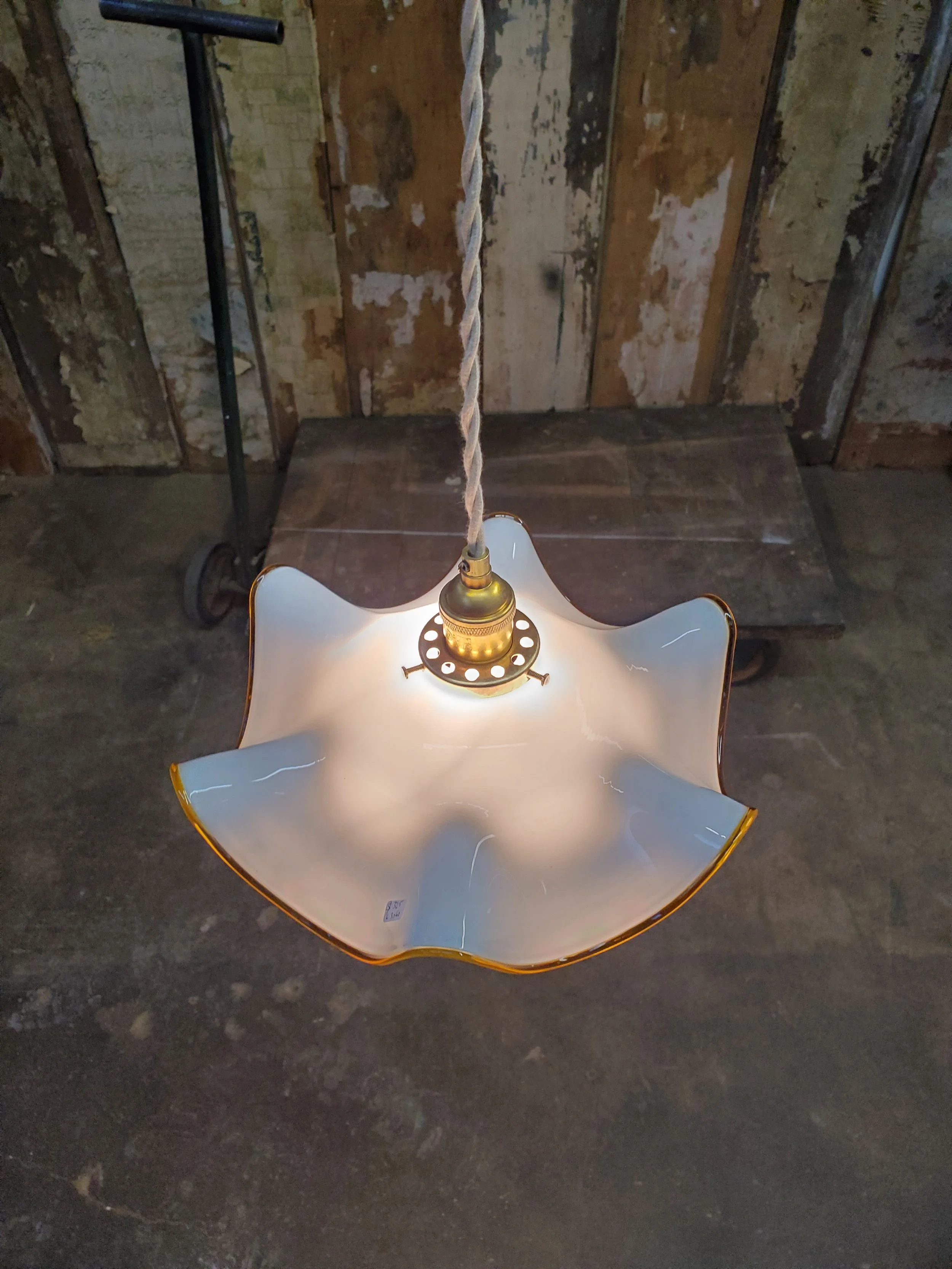 2026-01-23 15.11.16.jpg (copie)