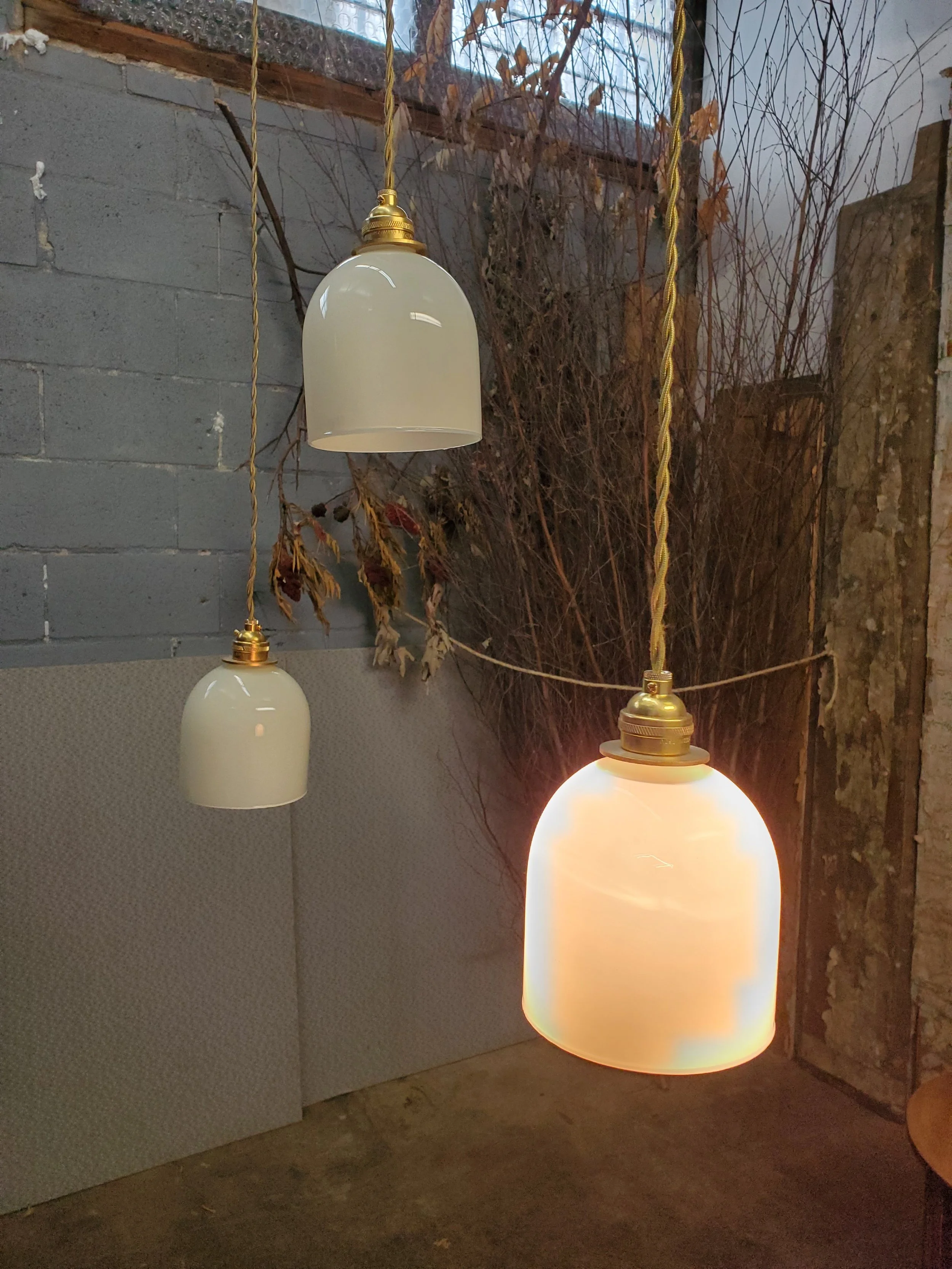 2026-03-08 12.04.01.jpg