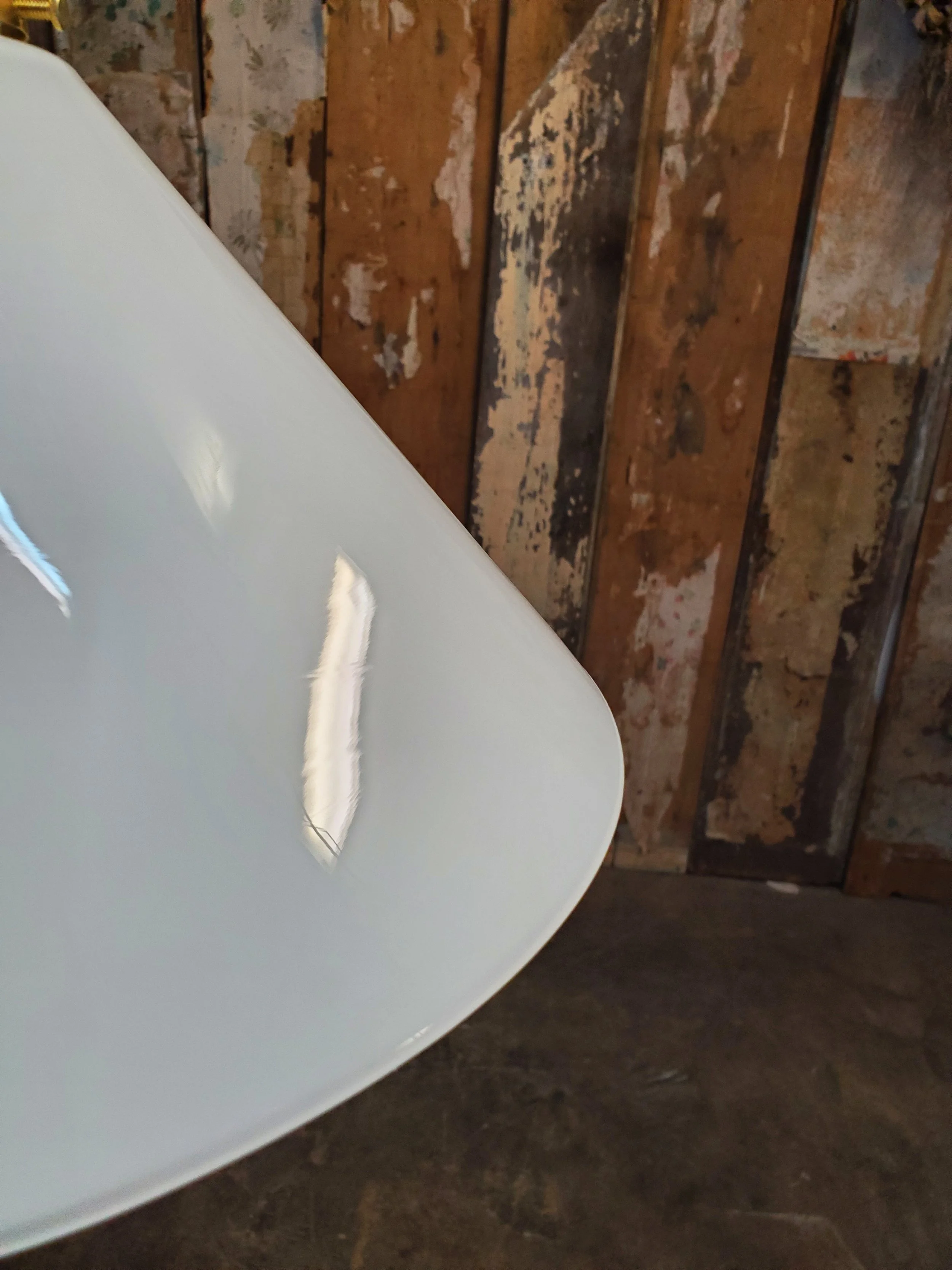 2026-02-16 14.17.45.jpg