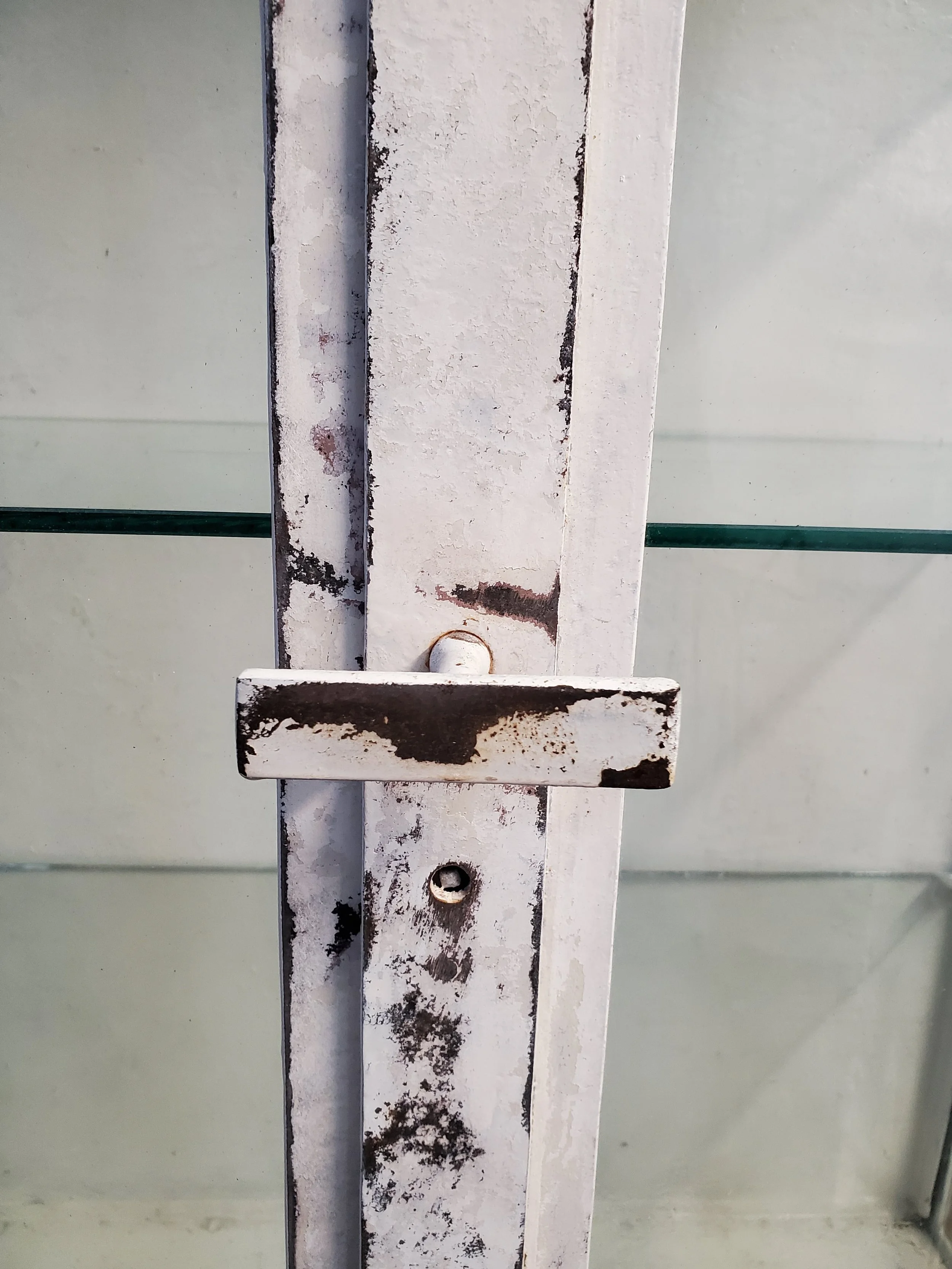 2026-02-09 10.14.47.jpg