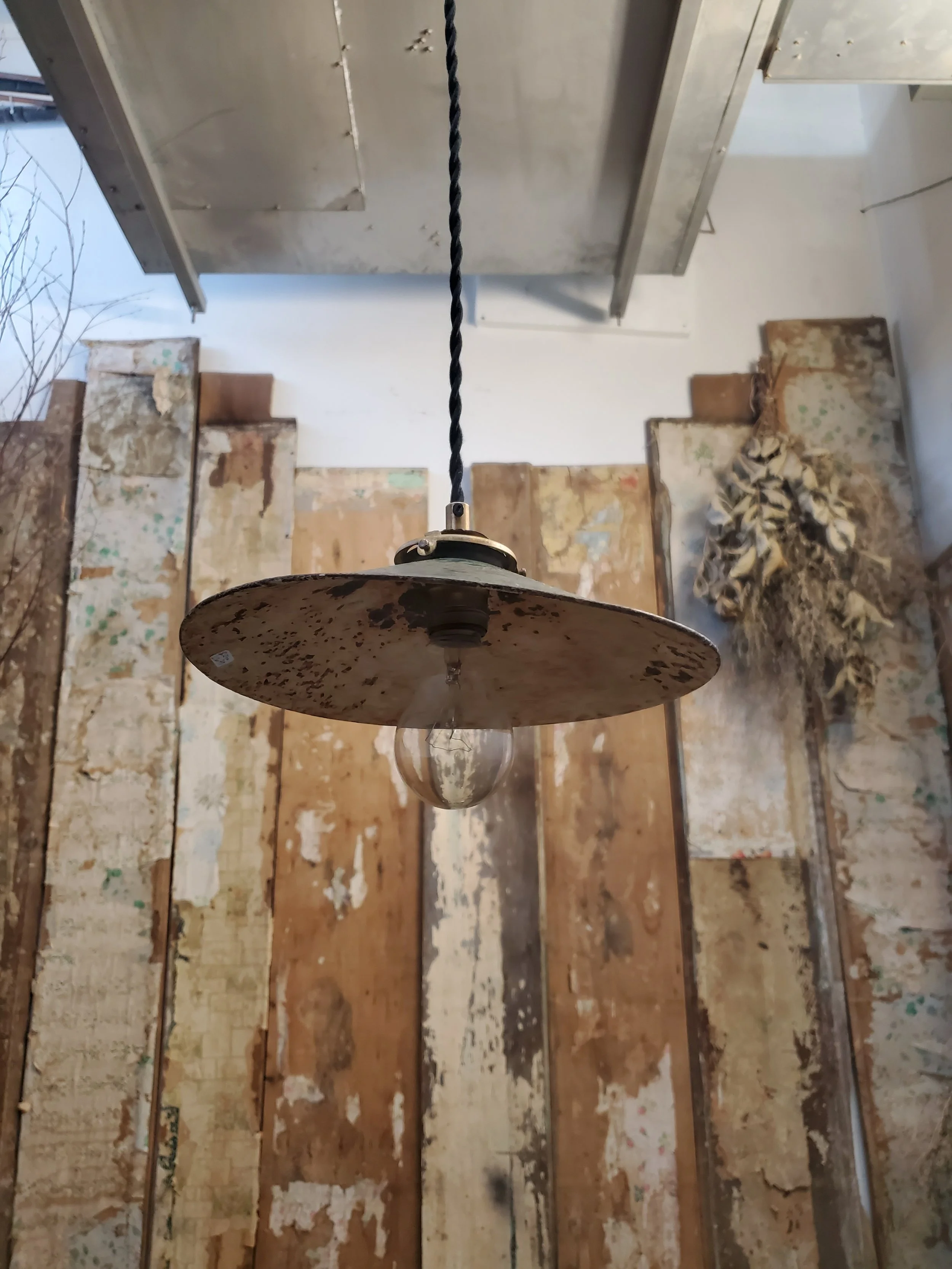 2026-02-15 14.33.58.jpg