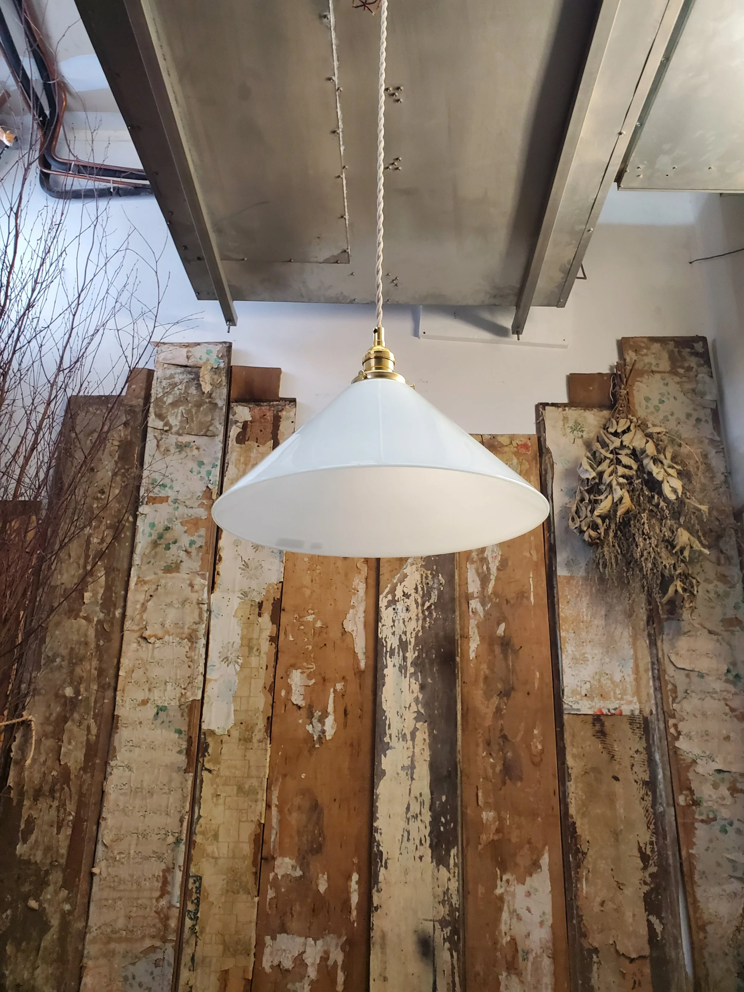 2026-02-16 14.17.35.jpg