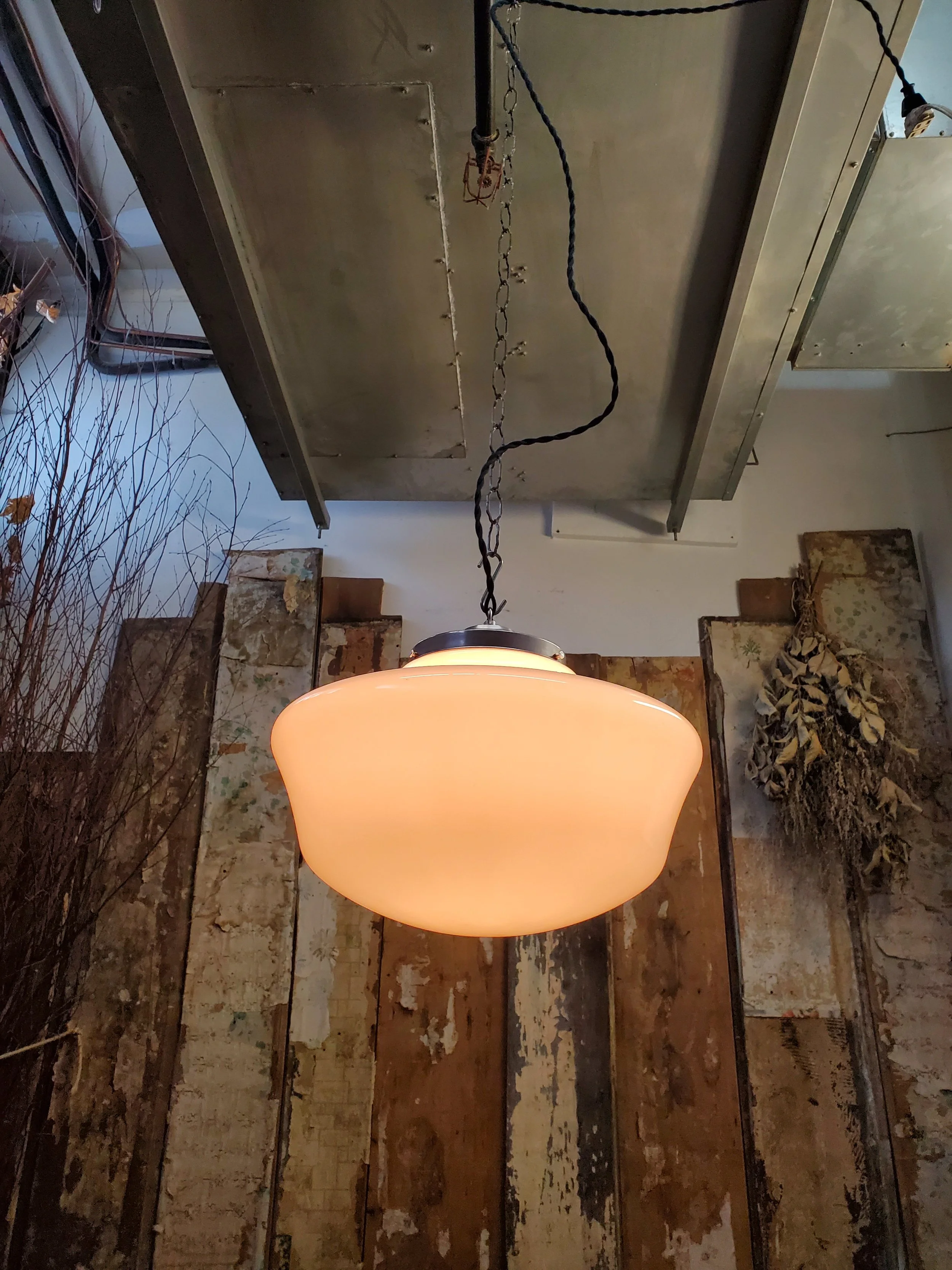 2026-02-19 12.33.33.jpg (copie)