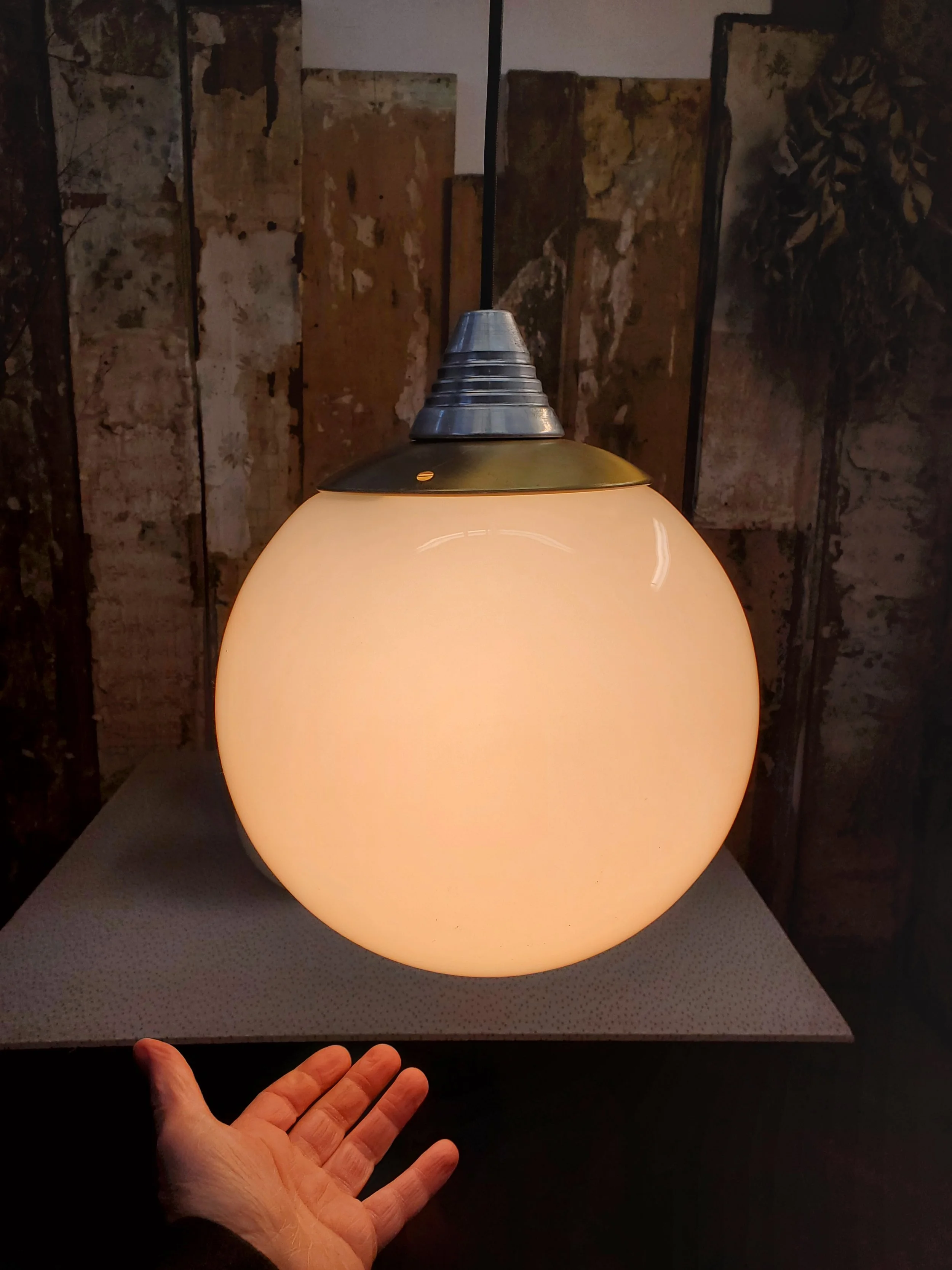 2026-02-24 14.44.06.jpg