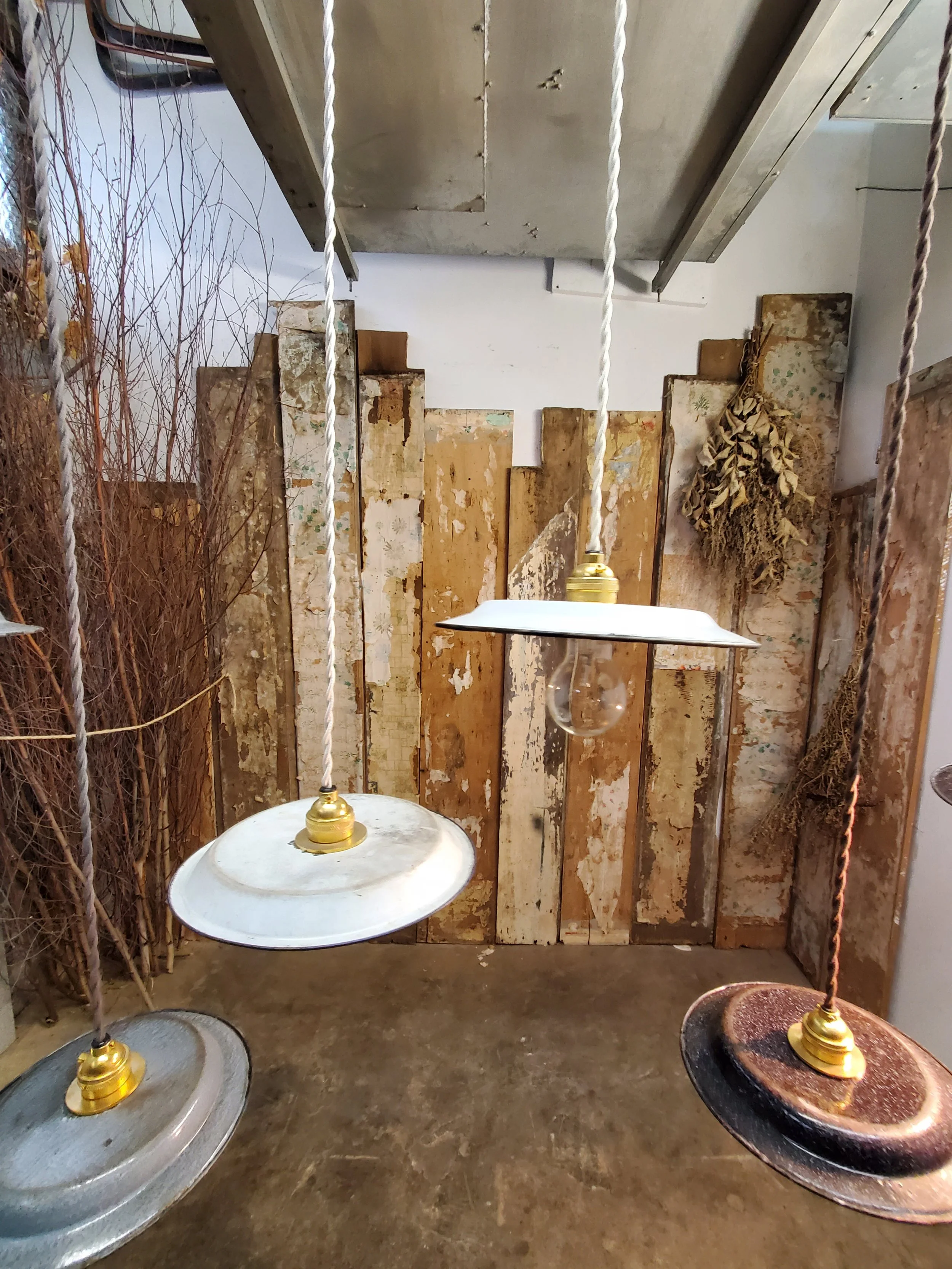 2026-03-10 15.31.54.jpg (copie)