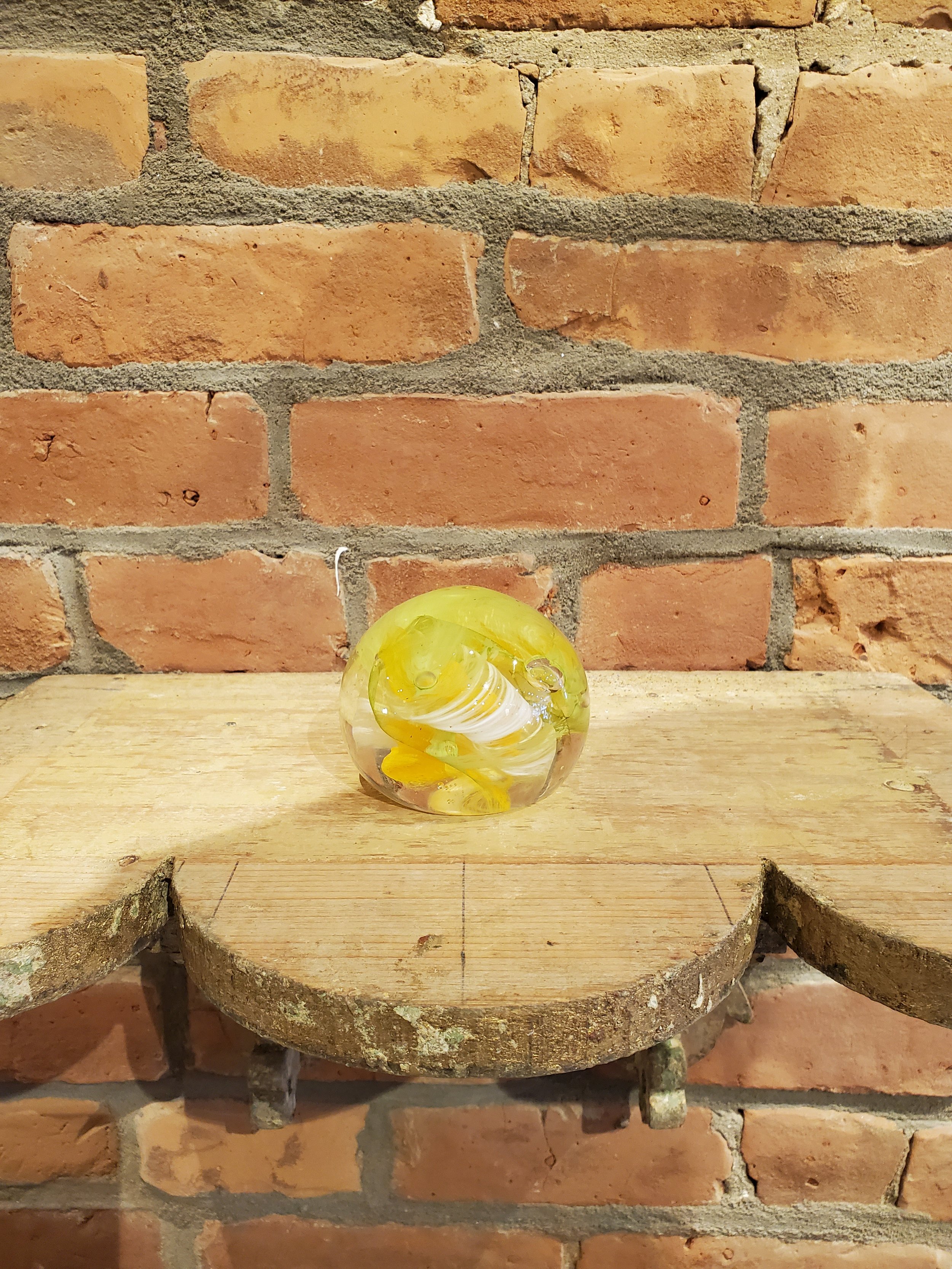 2026-02-11 11.49.29.jpg