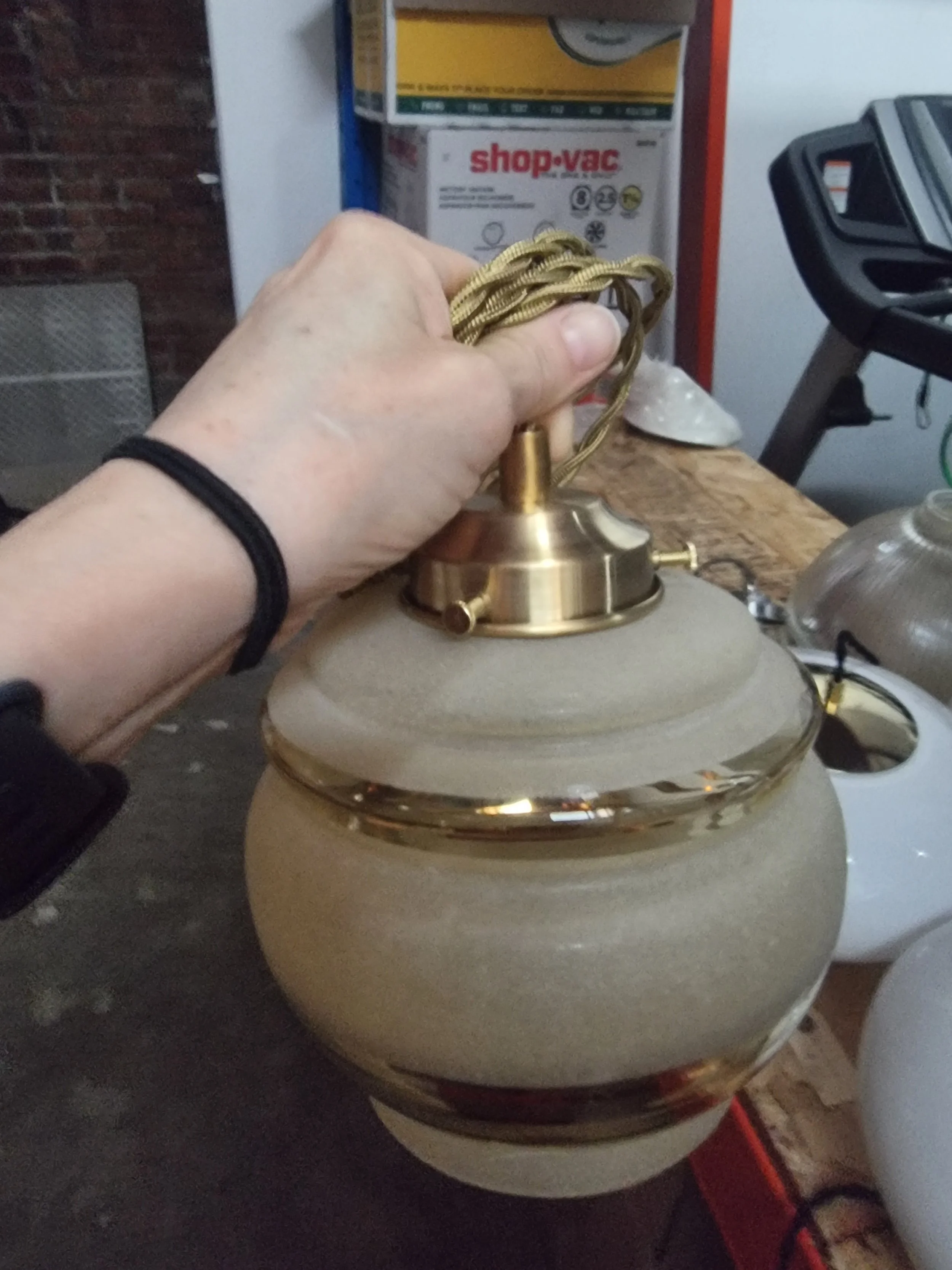 1000037584.jpg