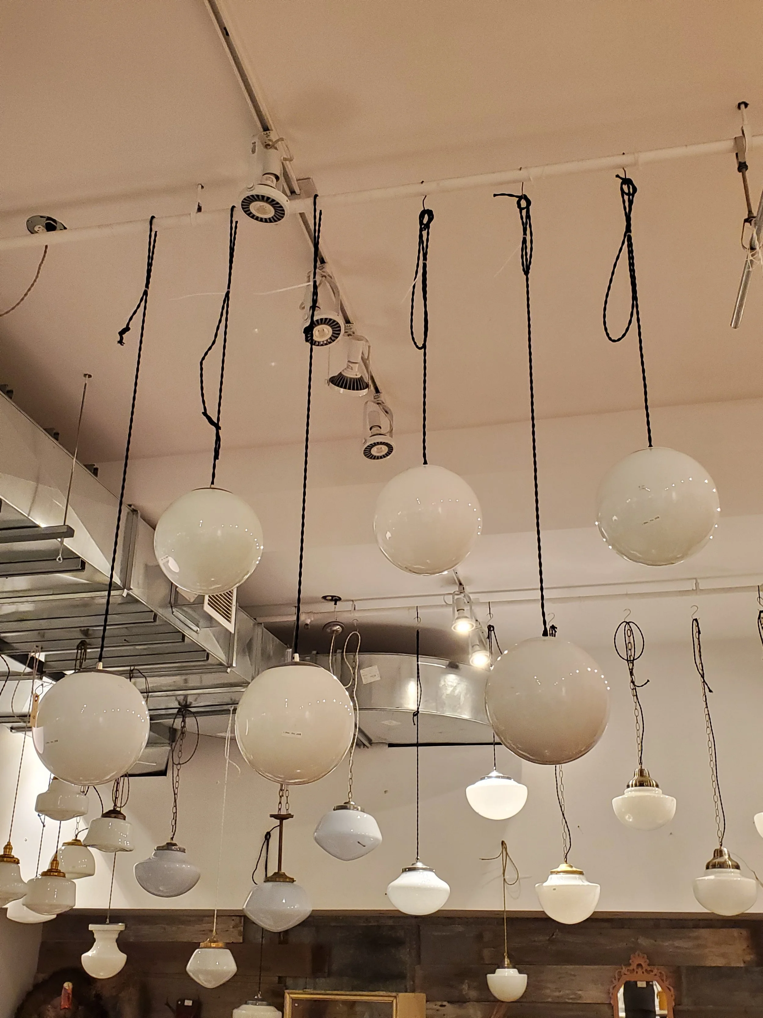 2026-02-24 17.48.48.jpg