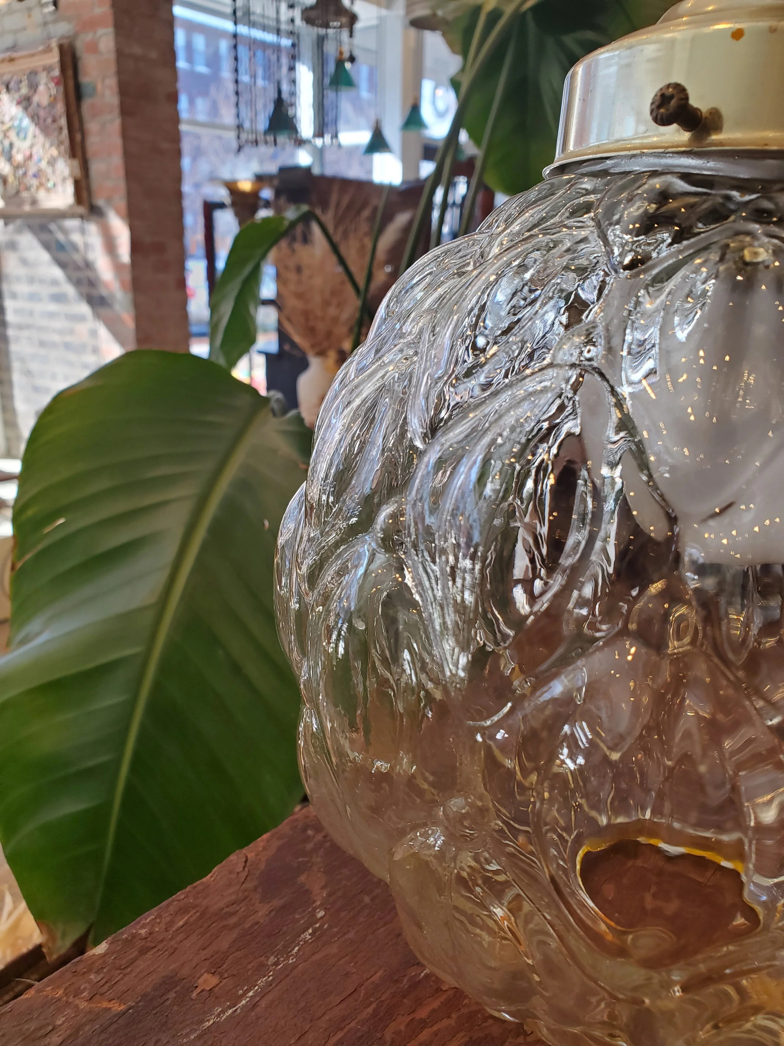 2026-02-15 12.00.32.jpg (copie)