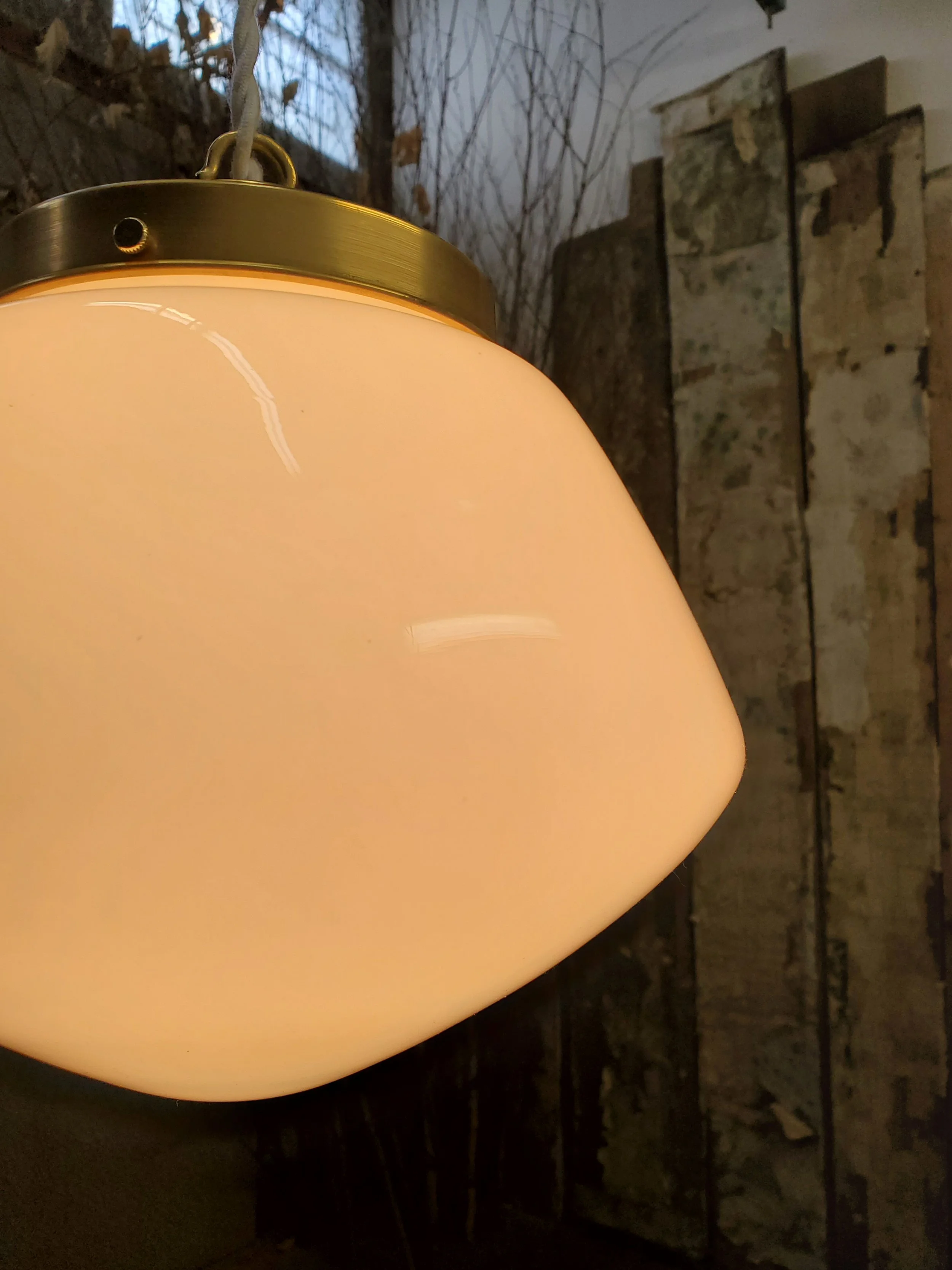 2026-02-16 14.30.20.jpg