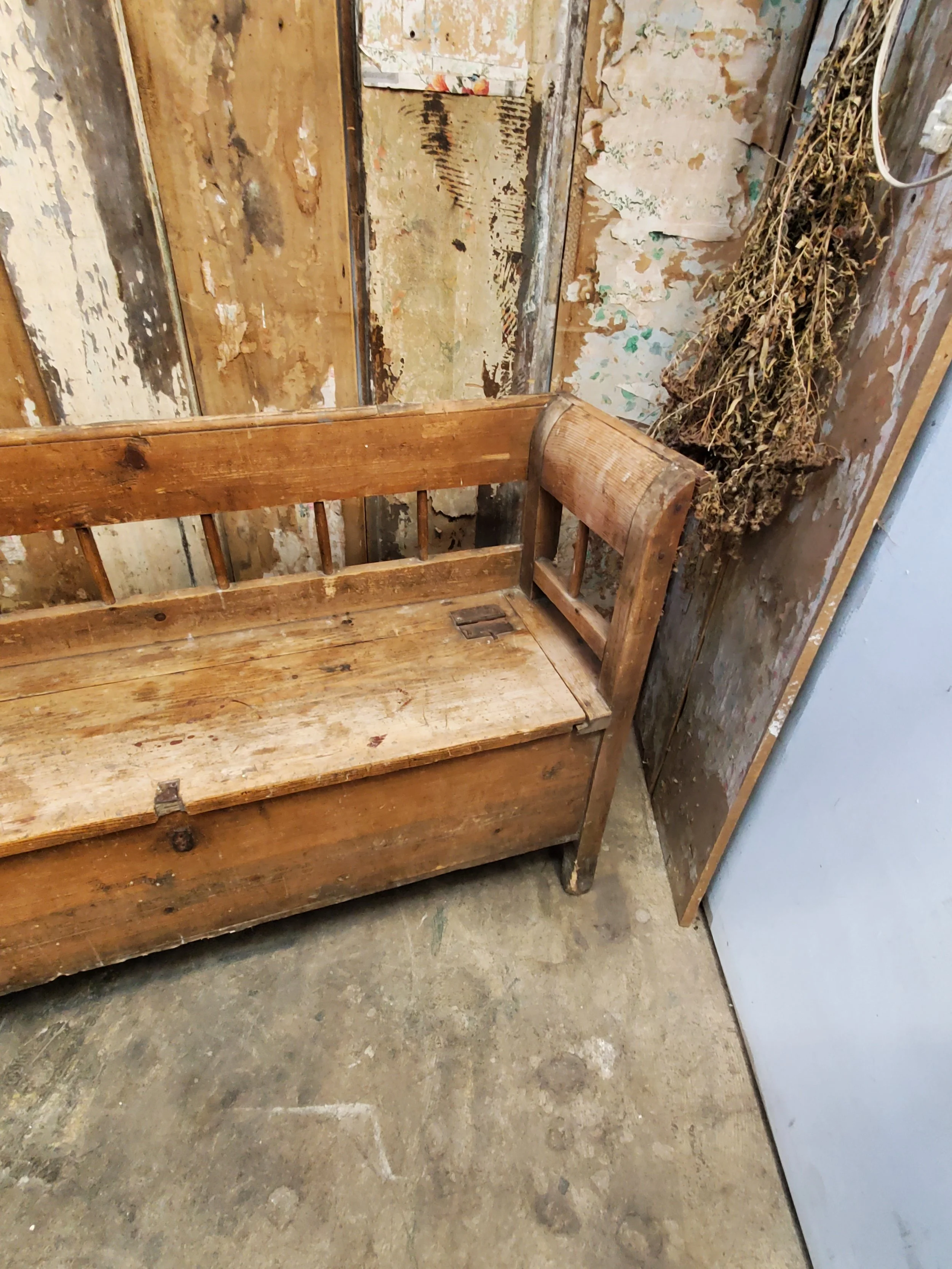 2026-02-09 15.56.00.jpg