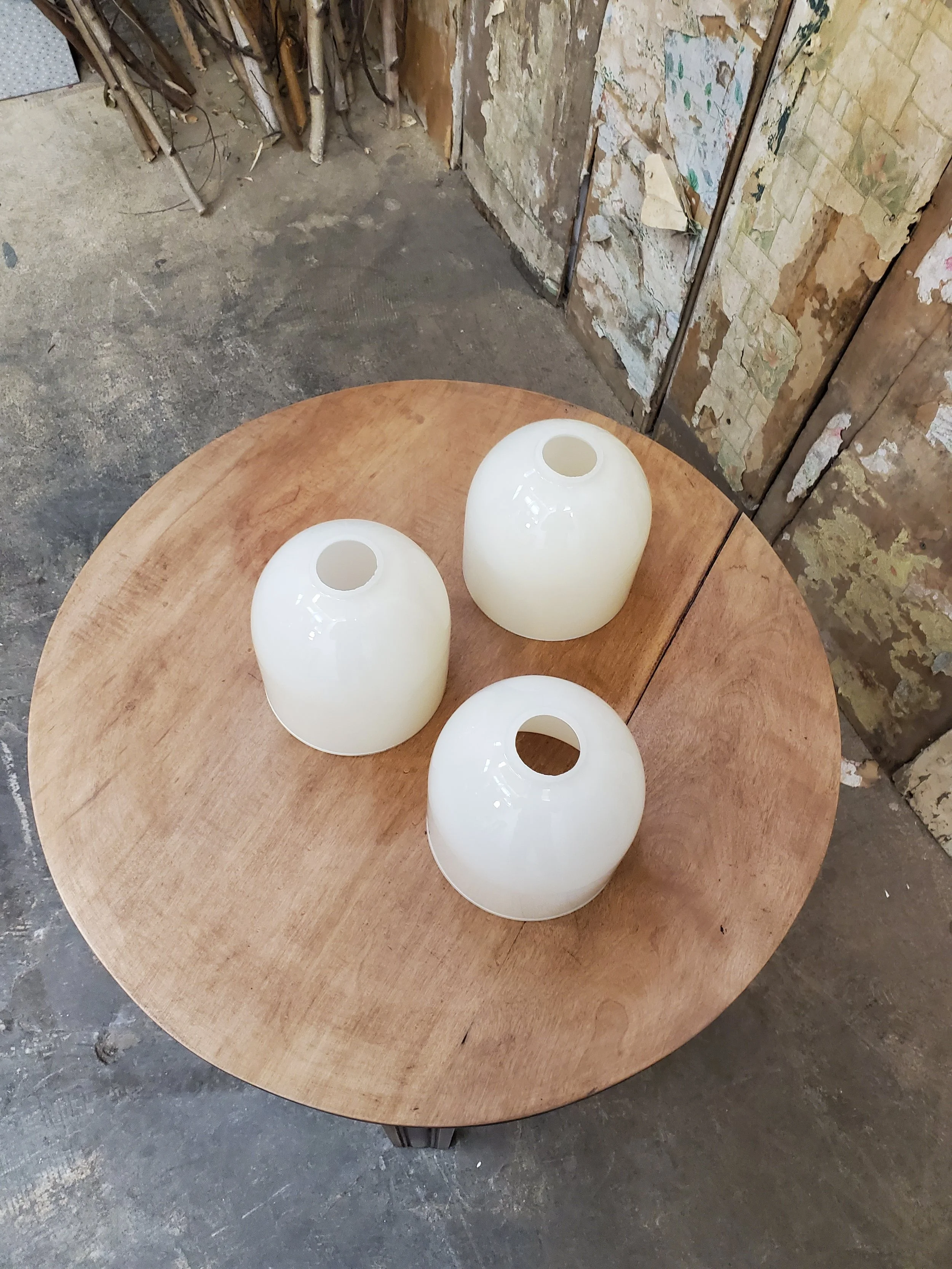 2026-03-08 12.03.54.jpg