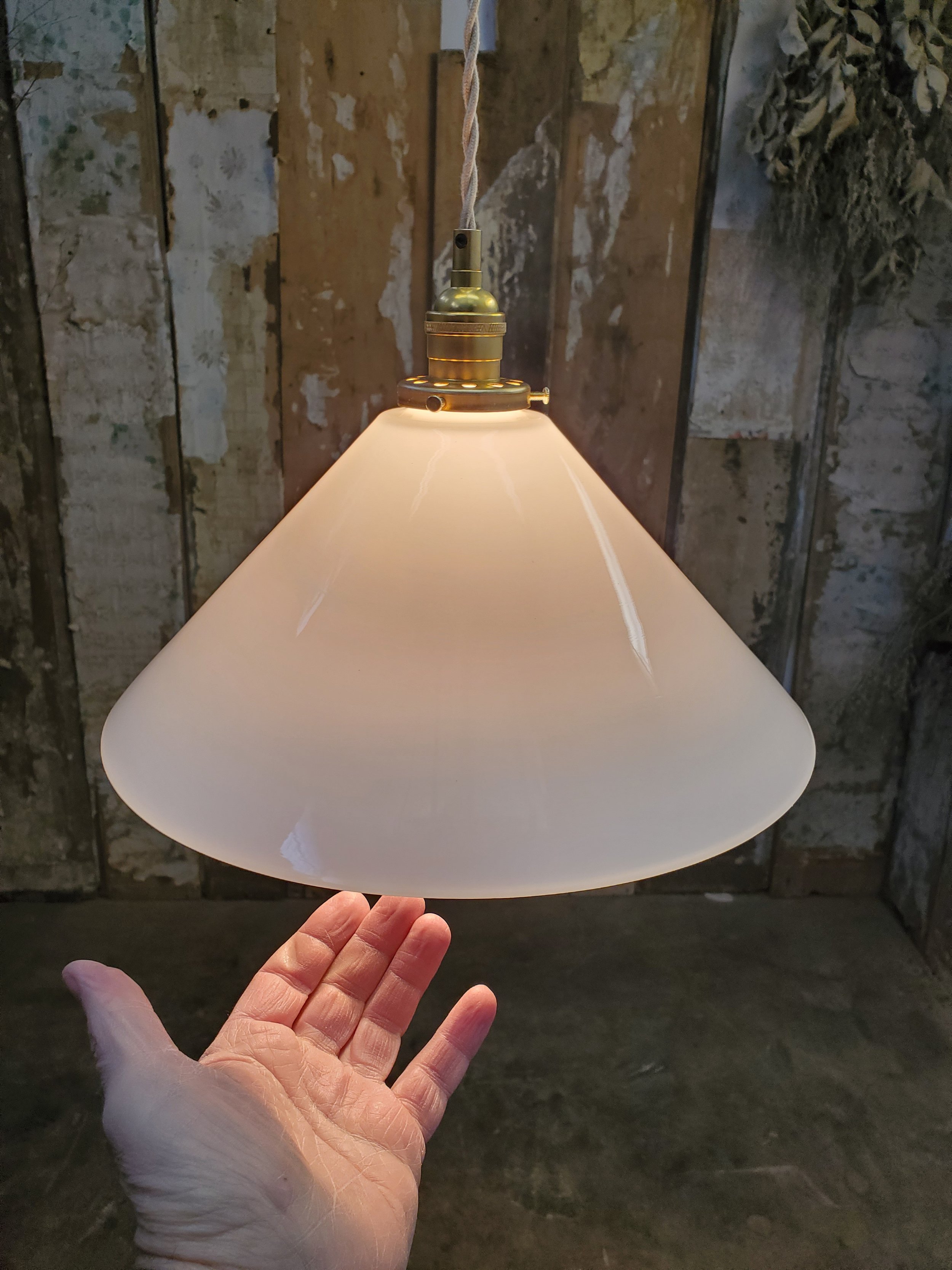 2026-02-16 14.18.10.jpg