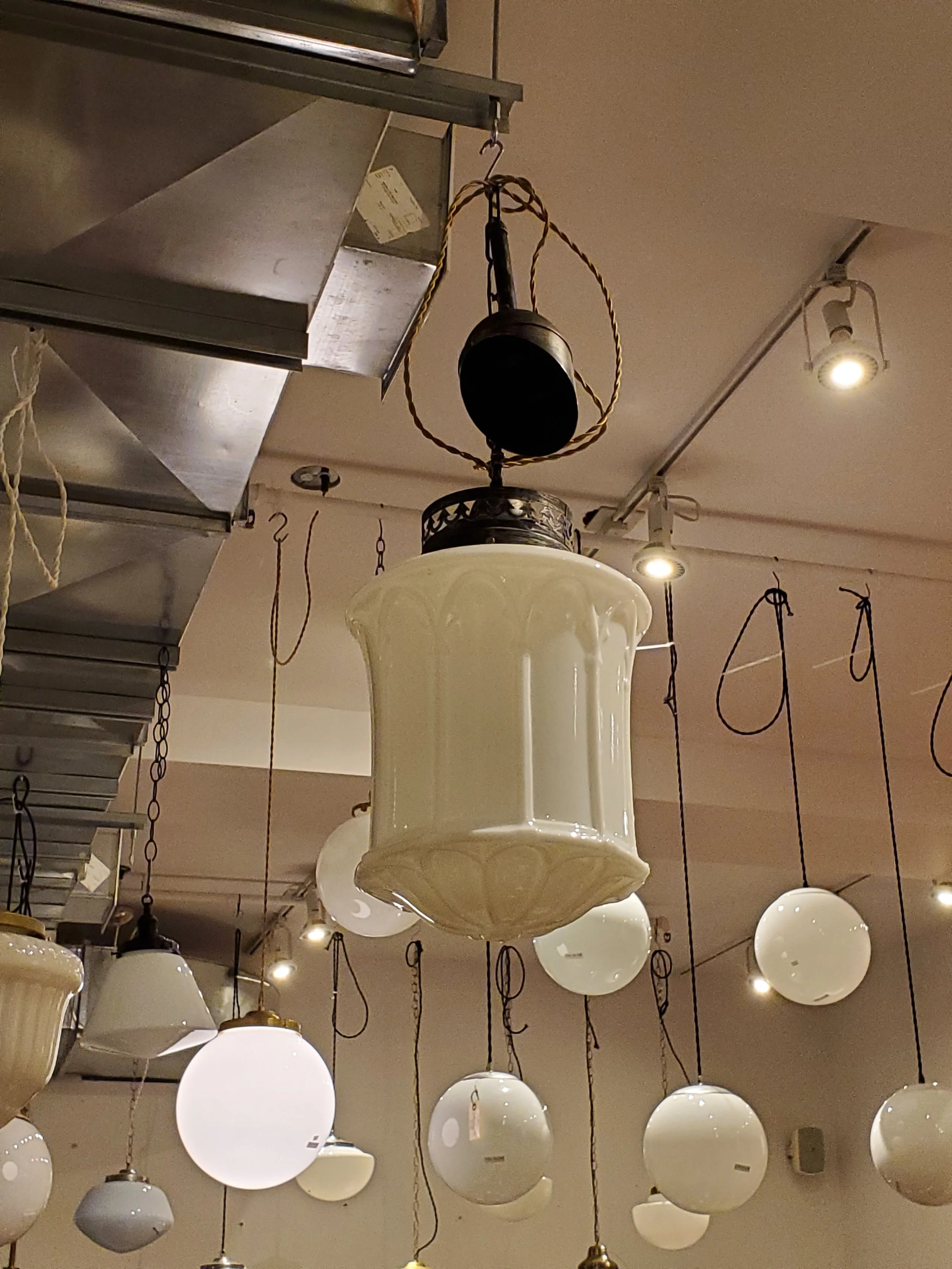 2026-03-23 16.44.11.jpg