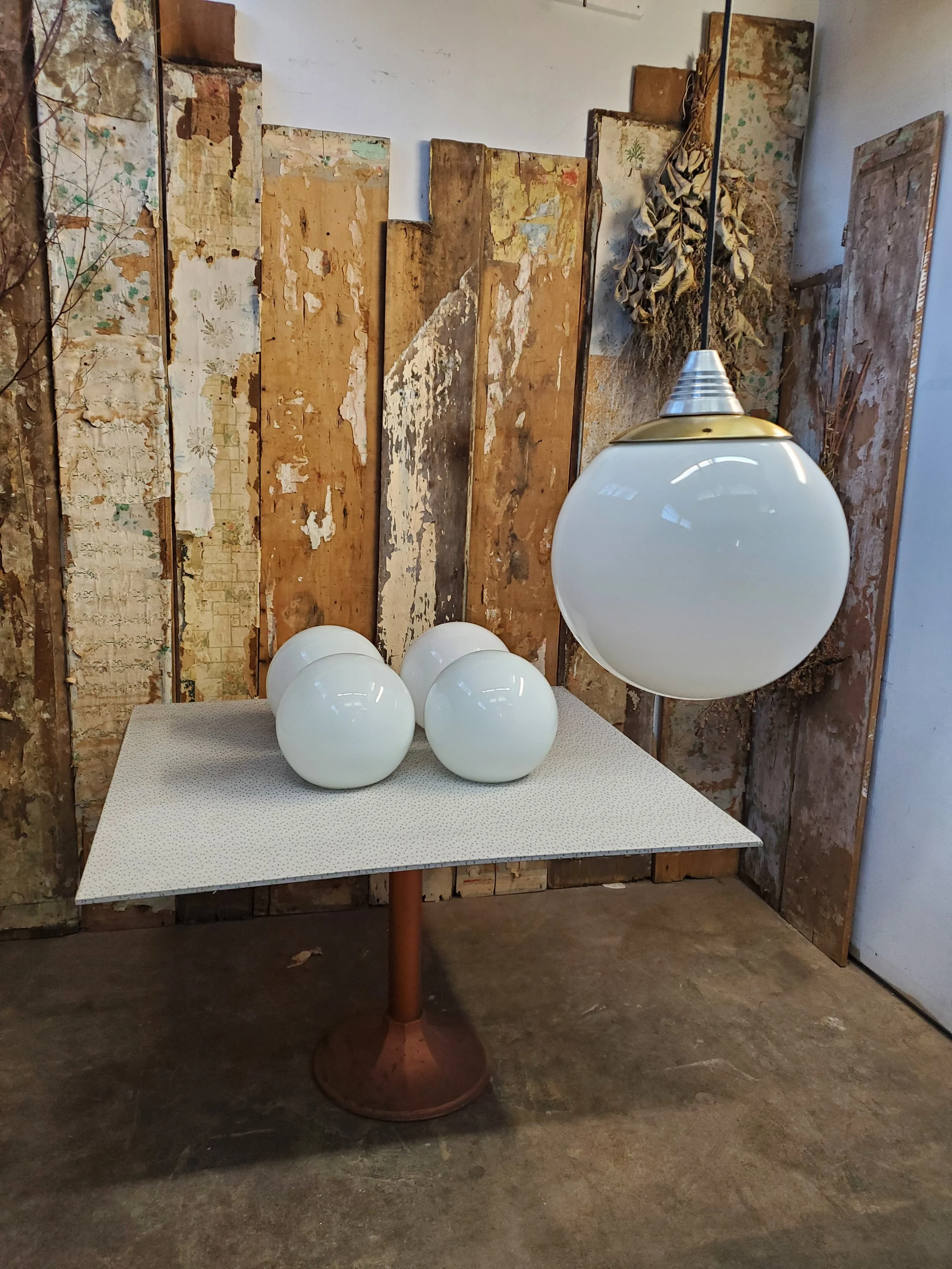 2026-02-24 14.44.47.jpg