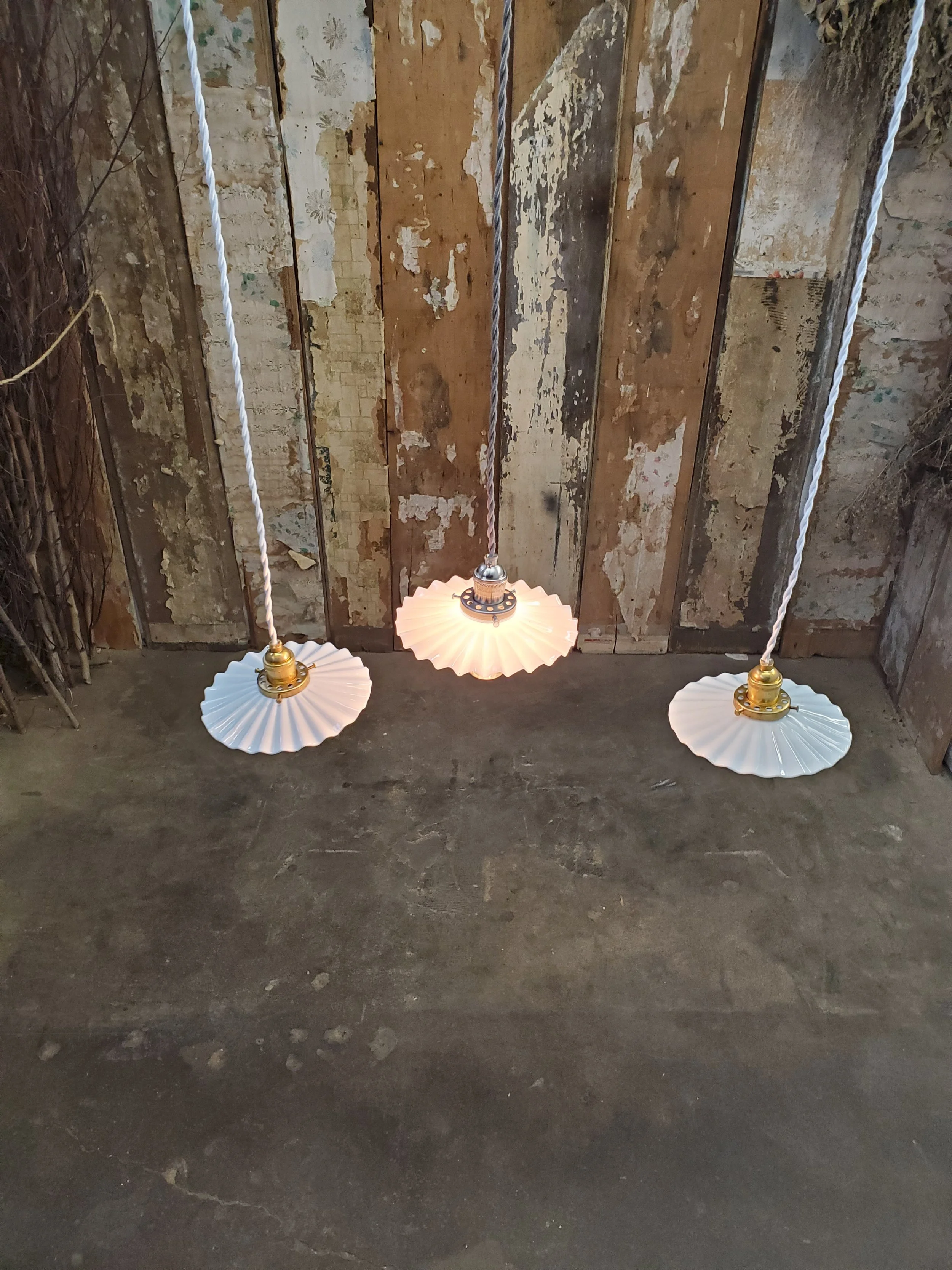 2026-02-16 13.50.24.jpg