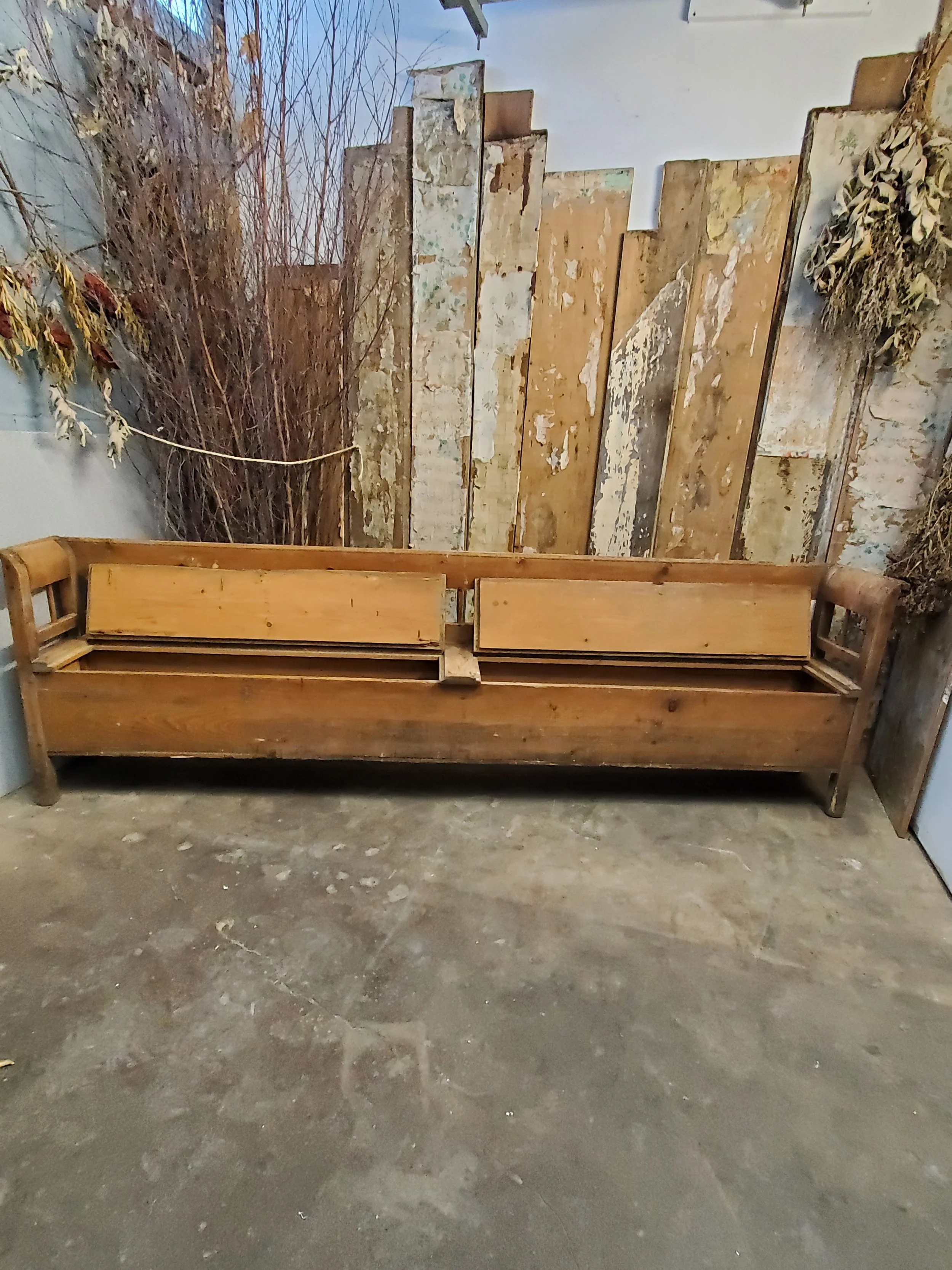 2026-02-09 15.56.23.jpg