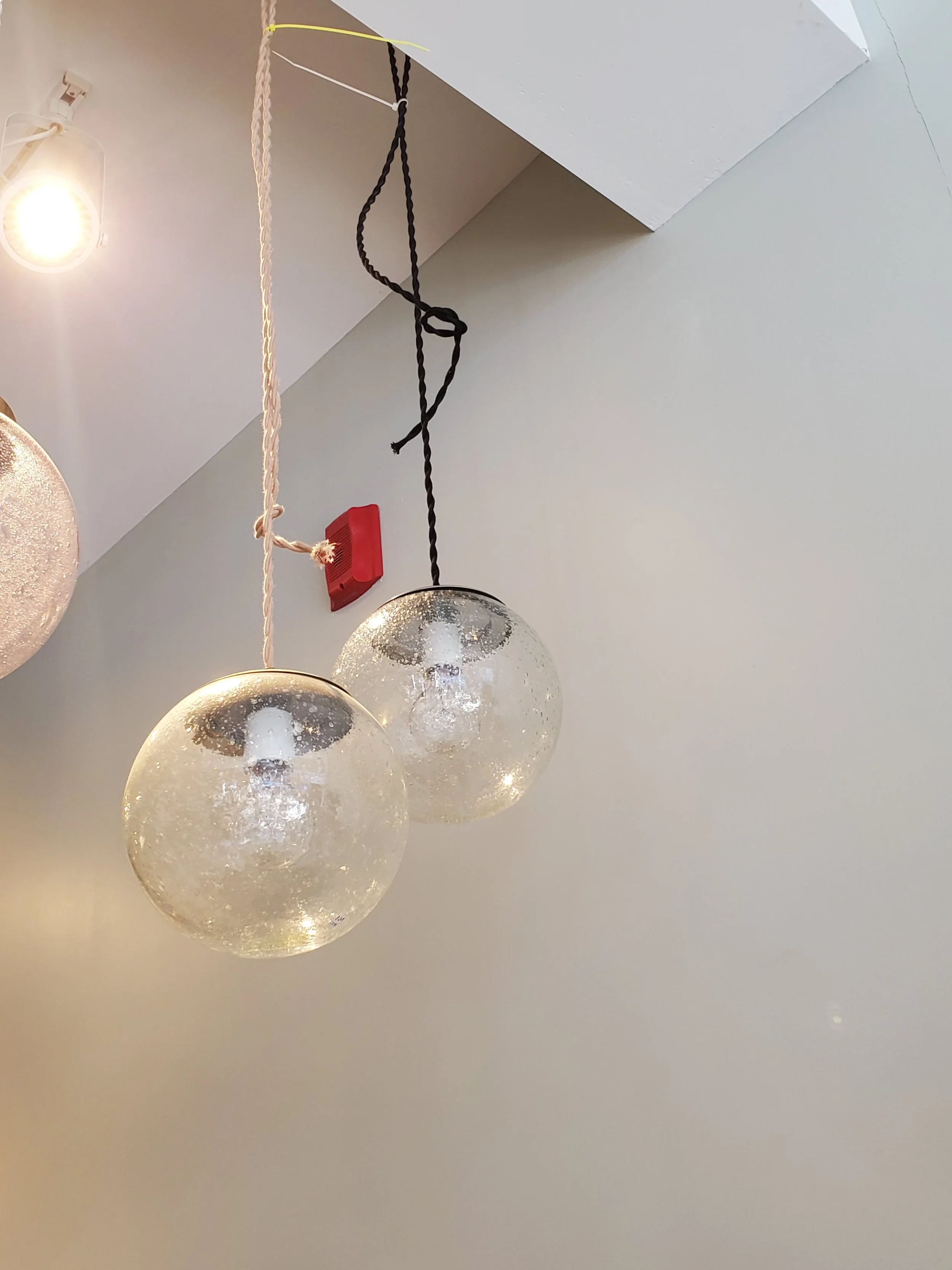 2026-02-15 12.25.35.jpg