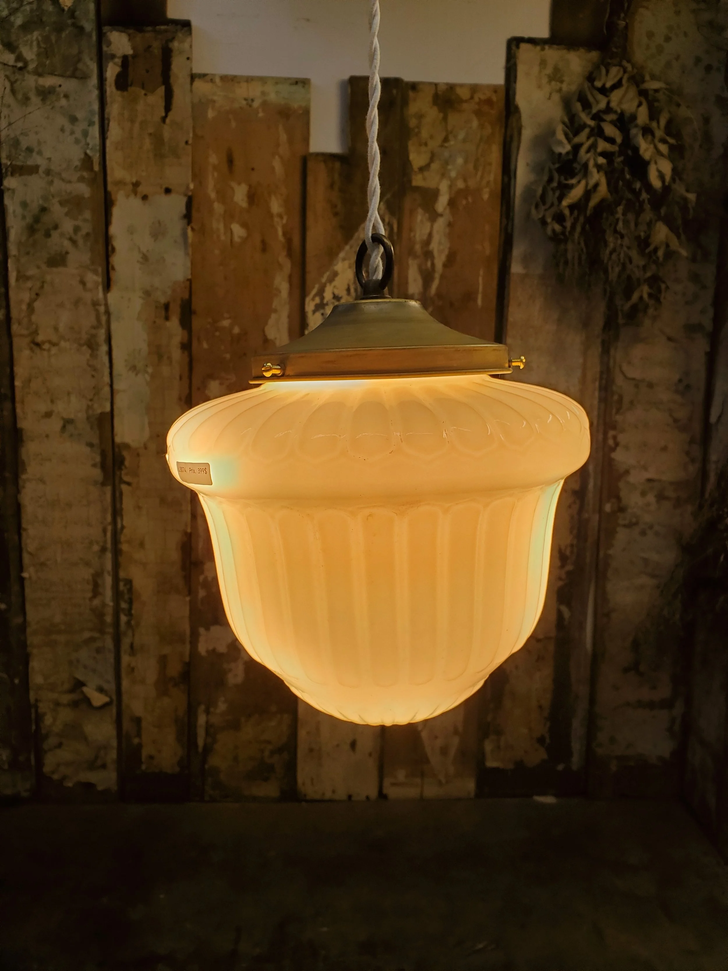 2026-02-15 14.47.52.jpg (copie)