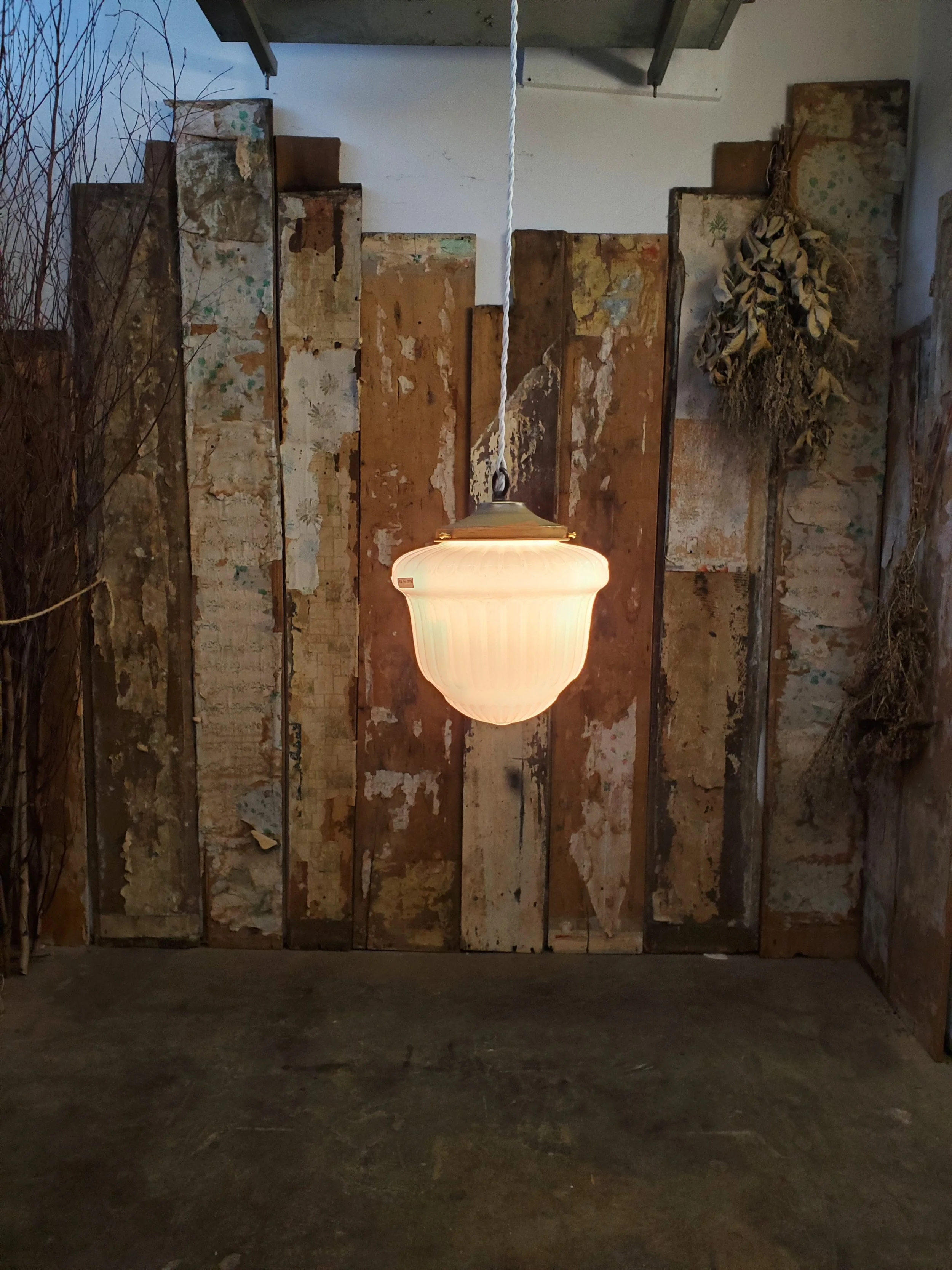 2026-02-15 14.47.37.jpg (copie)