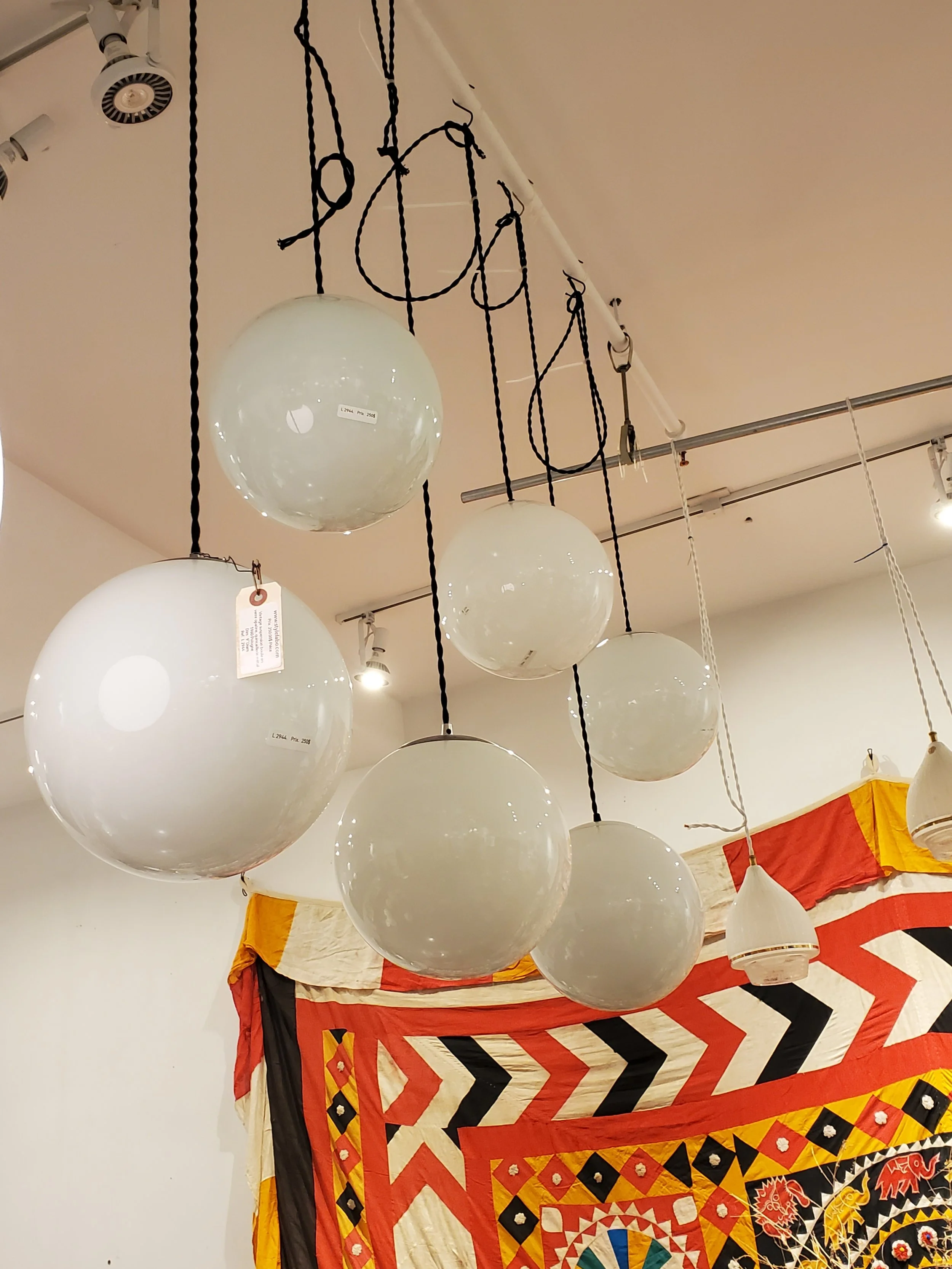 2026-02-24 17.49.08.jpg