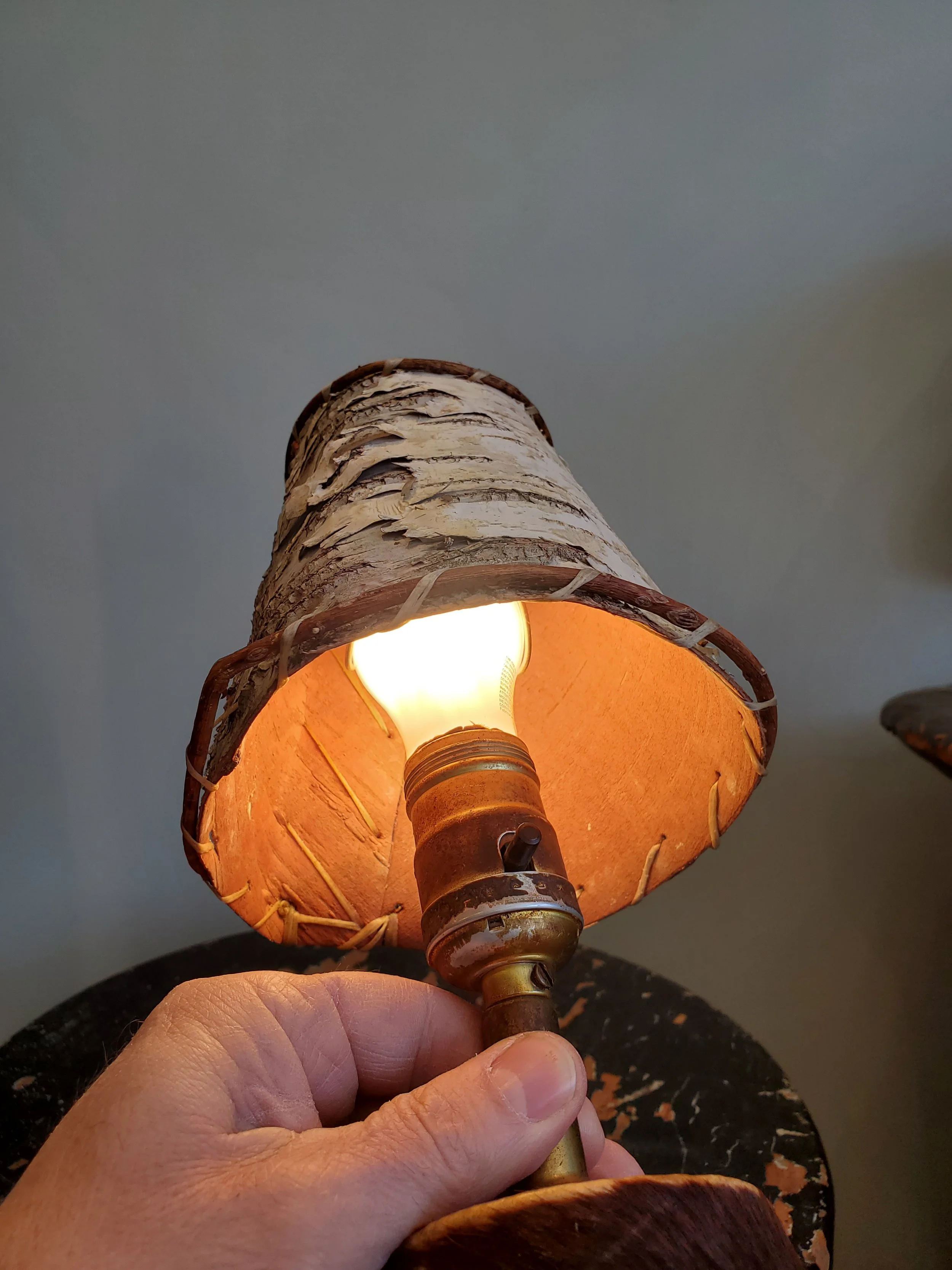 2026-02-15 12.40.07.jpg (copie)