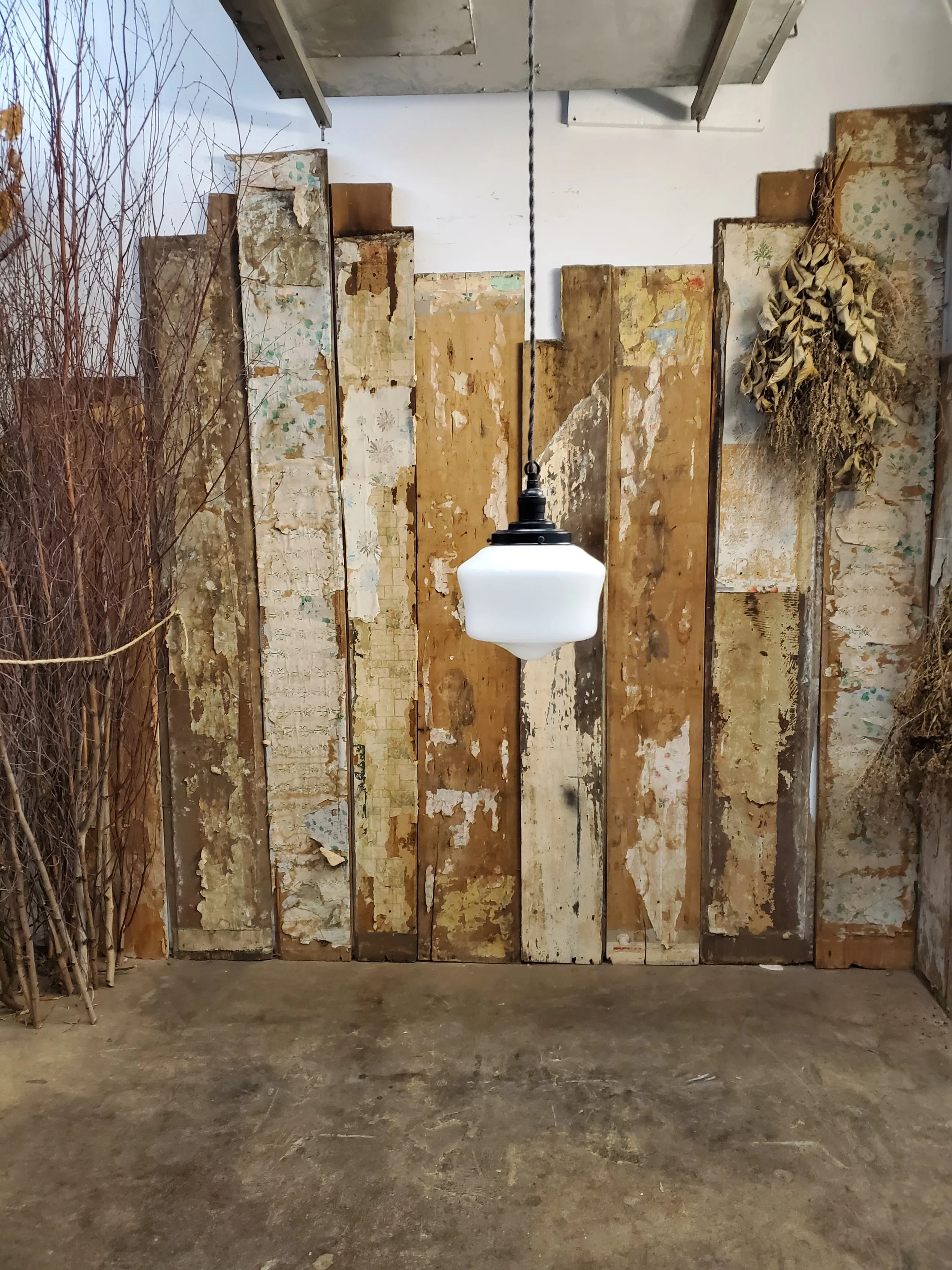 2026-02-17 10.12.37.jpg