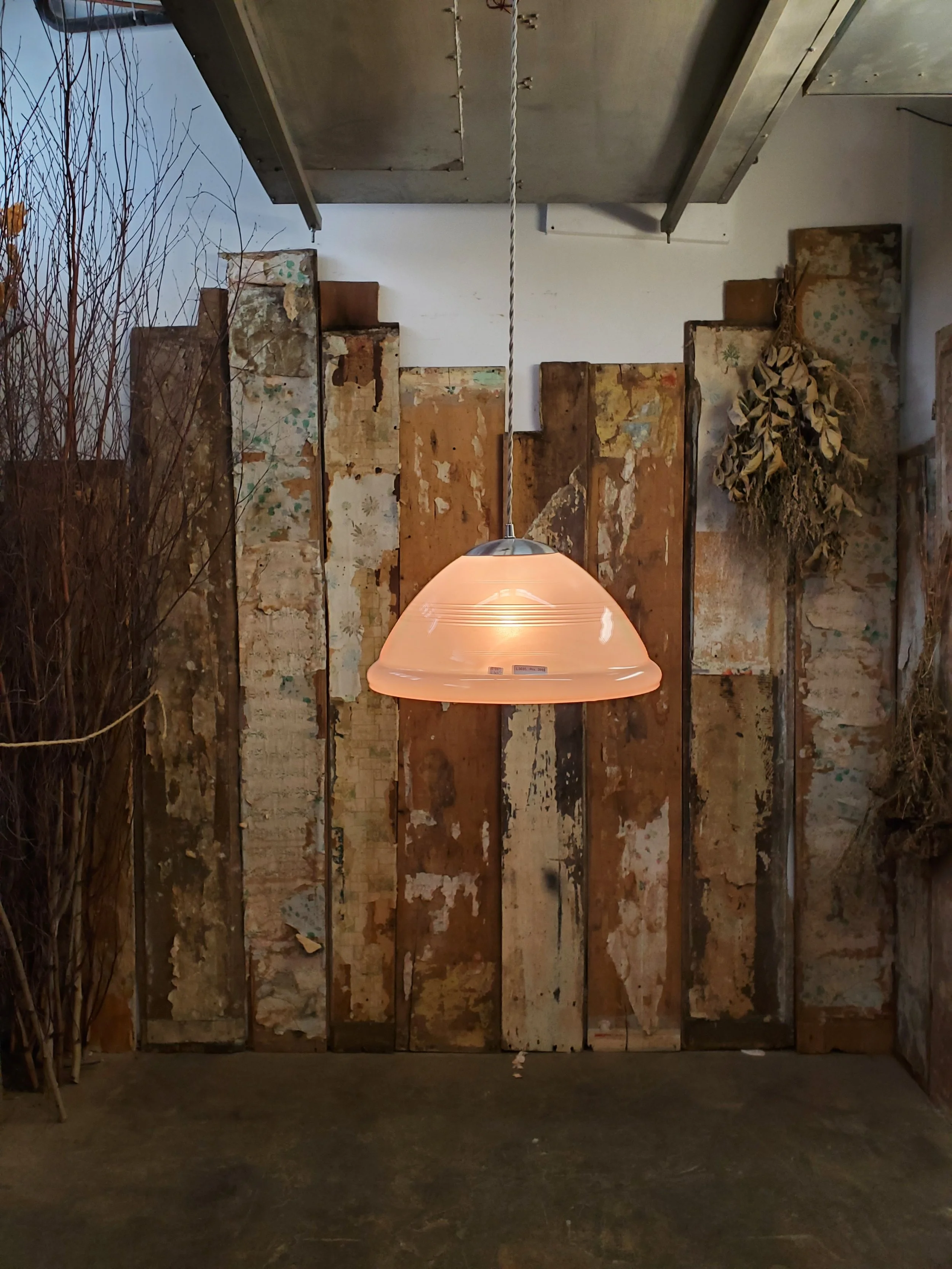 2026-02-26 14.14.30.jpg