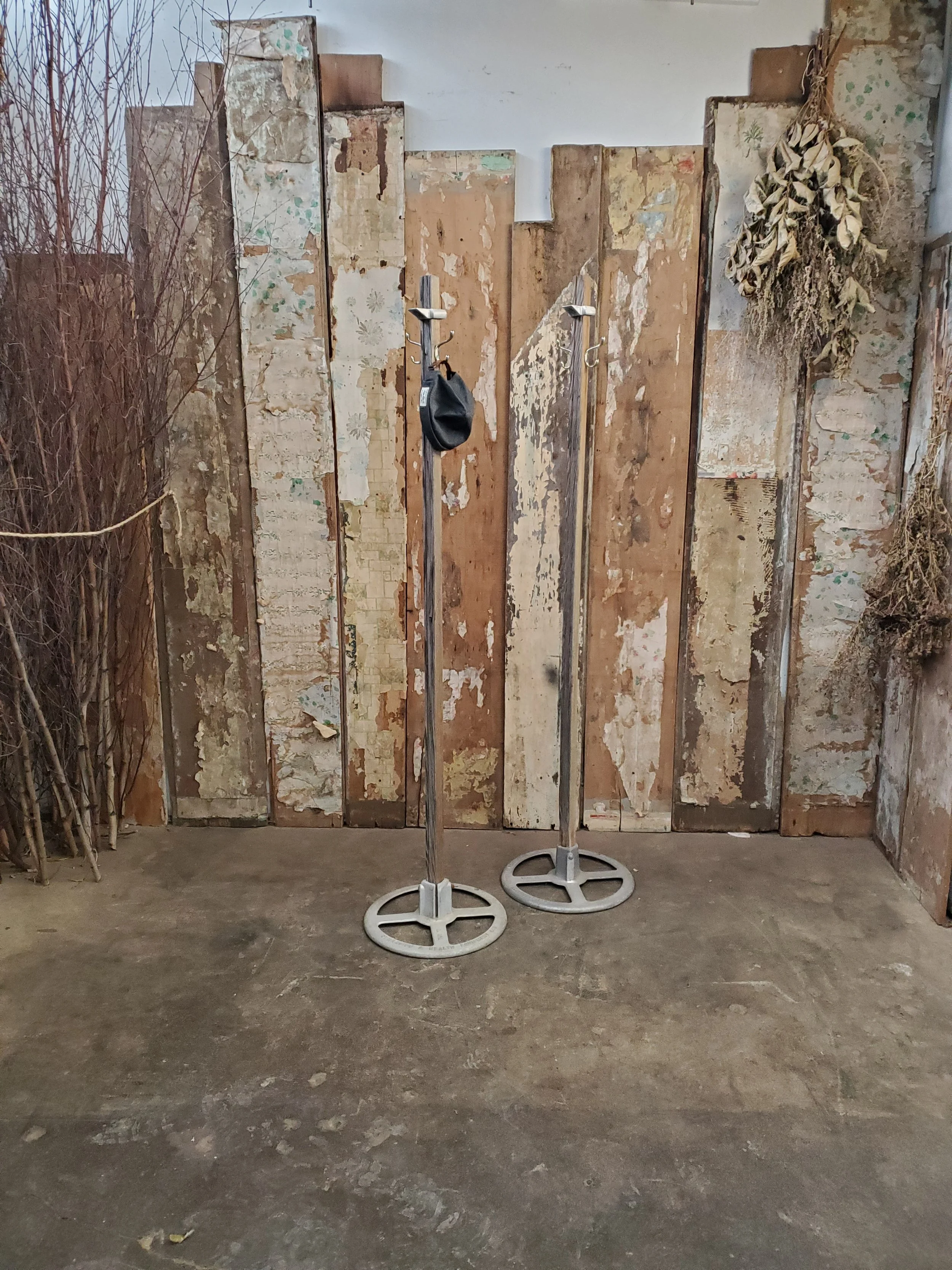 2026-01-25 12.07.51.jpg