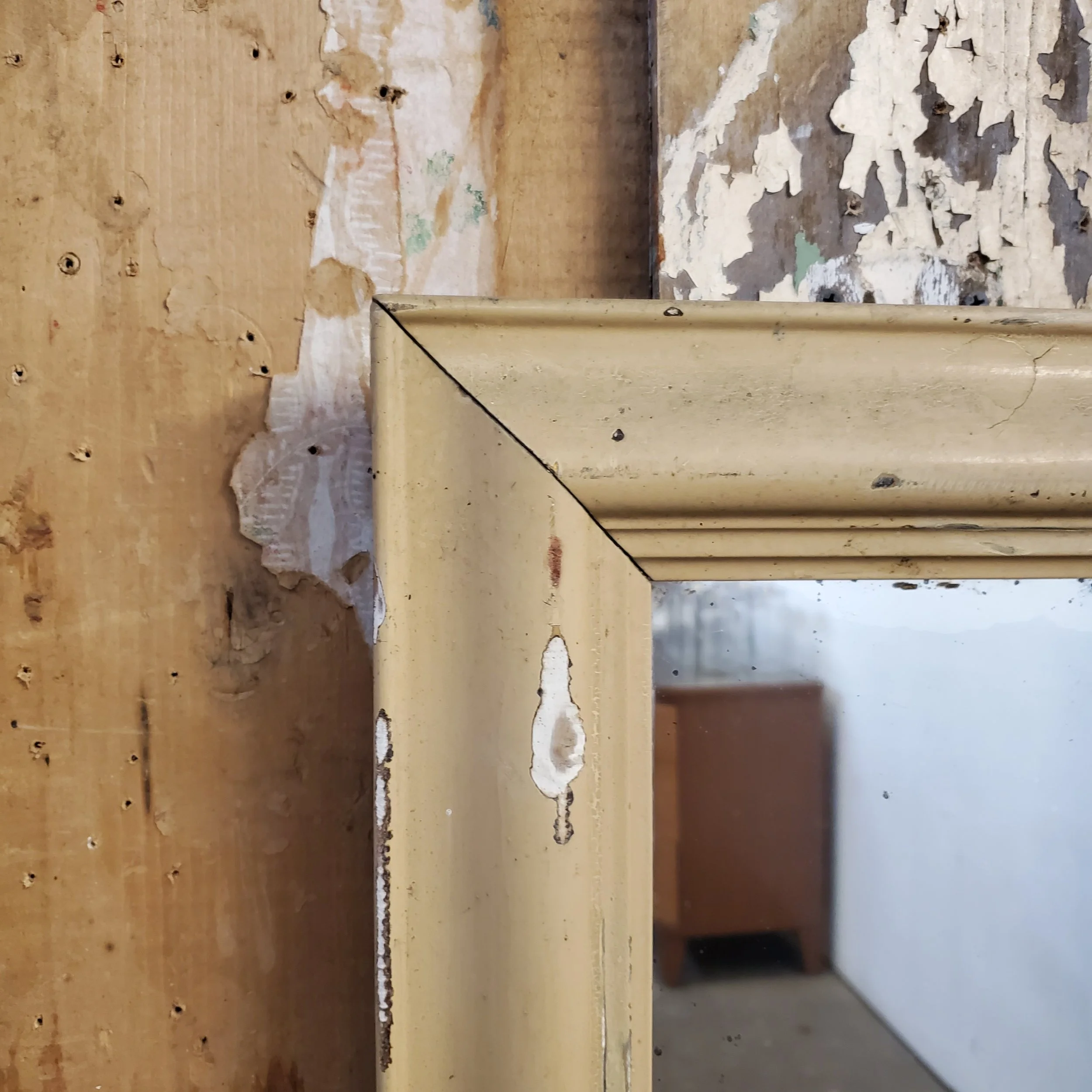 2025-05-03 12.40.45.jpg