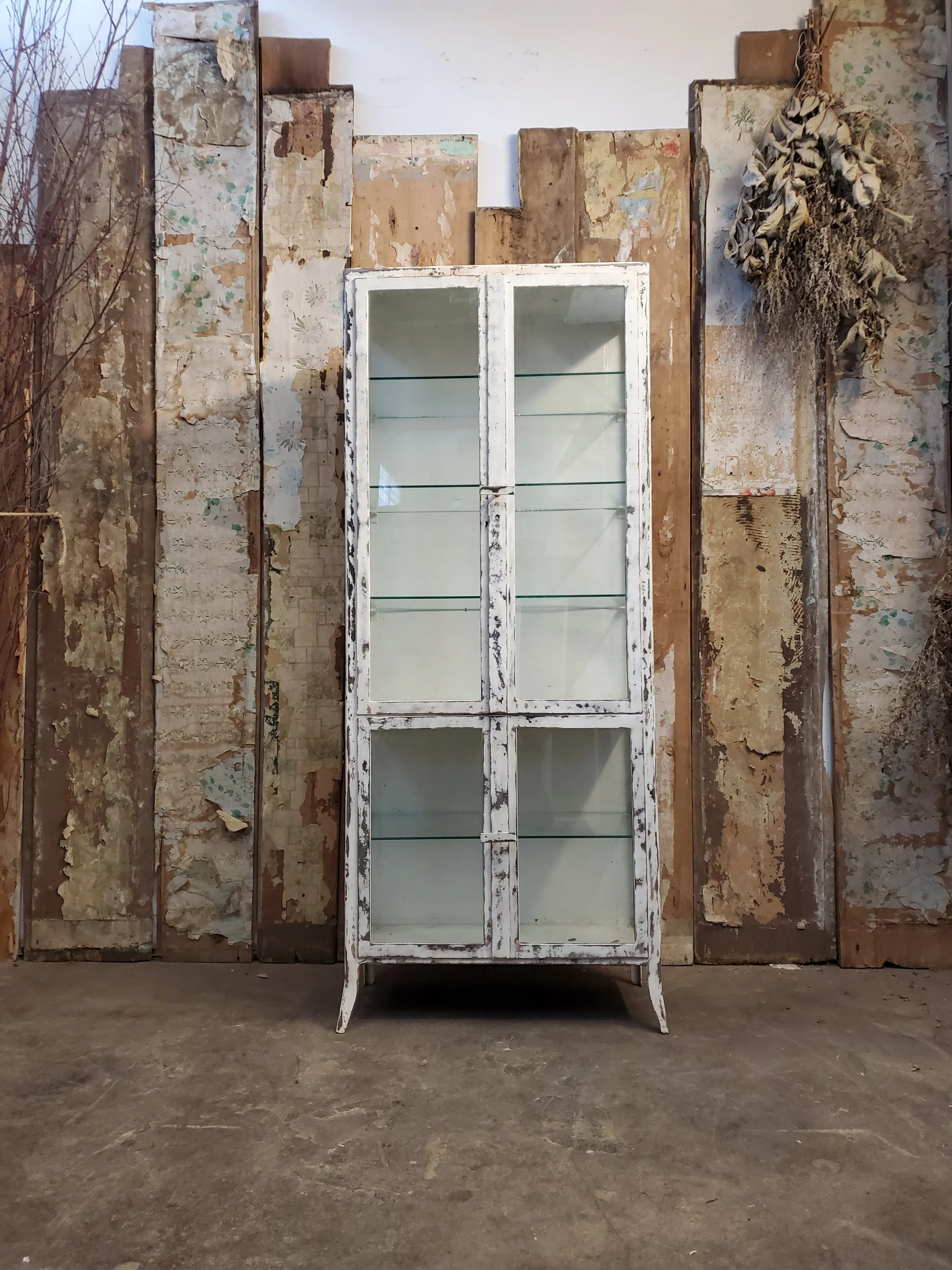 2026-02-09 10.16.40.jpg