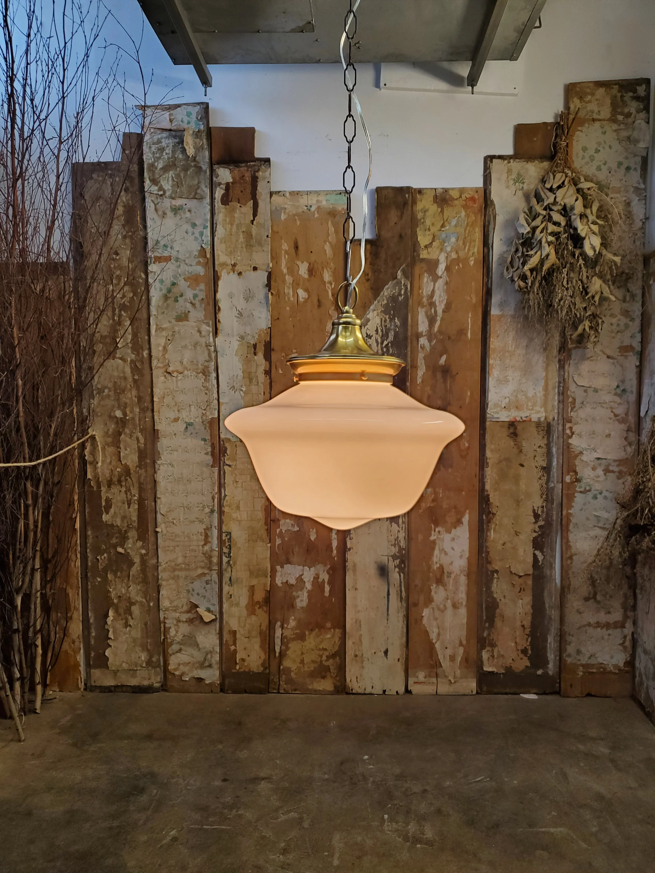 2026-02-19 12.19.24.jpg (copie)