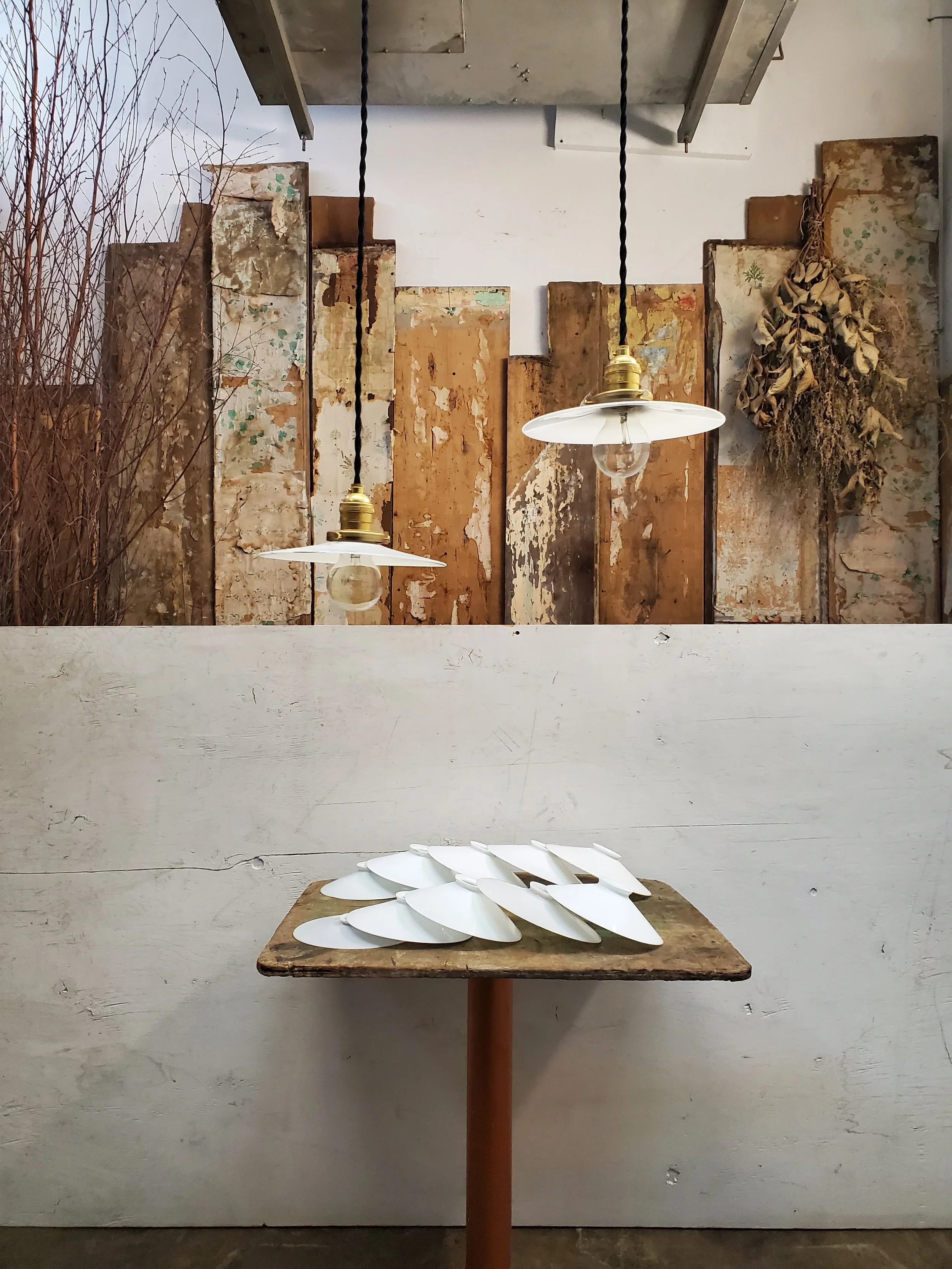 2026-02-17 11.58.33.jpg