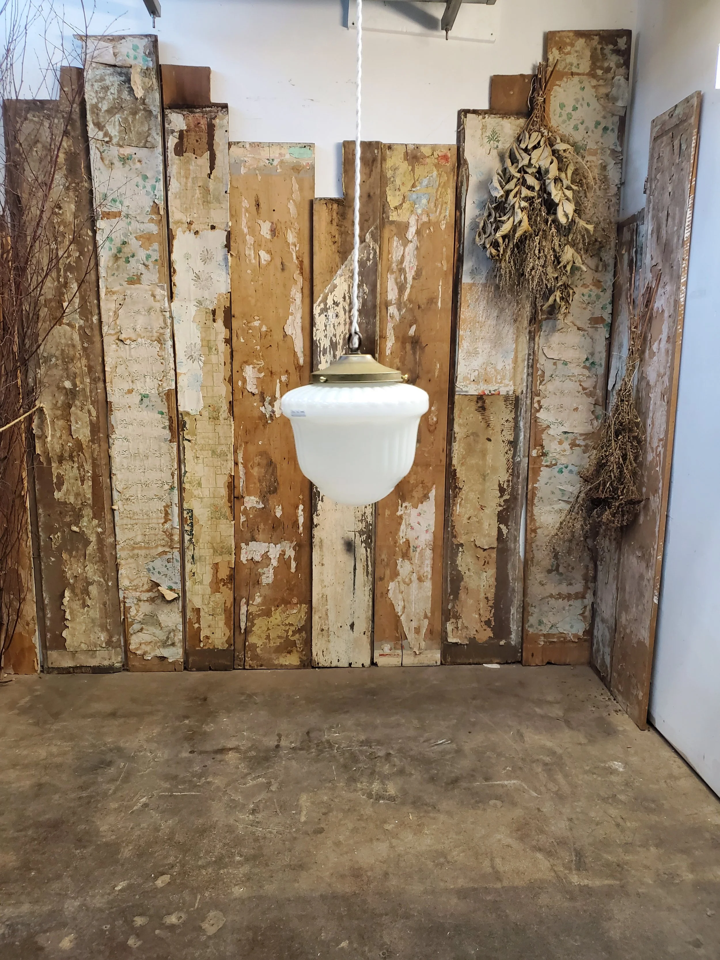 2026-02-15 14.48.15.jpg (copie)