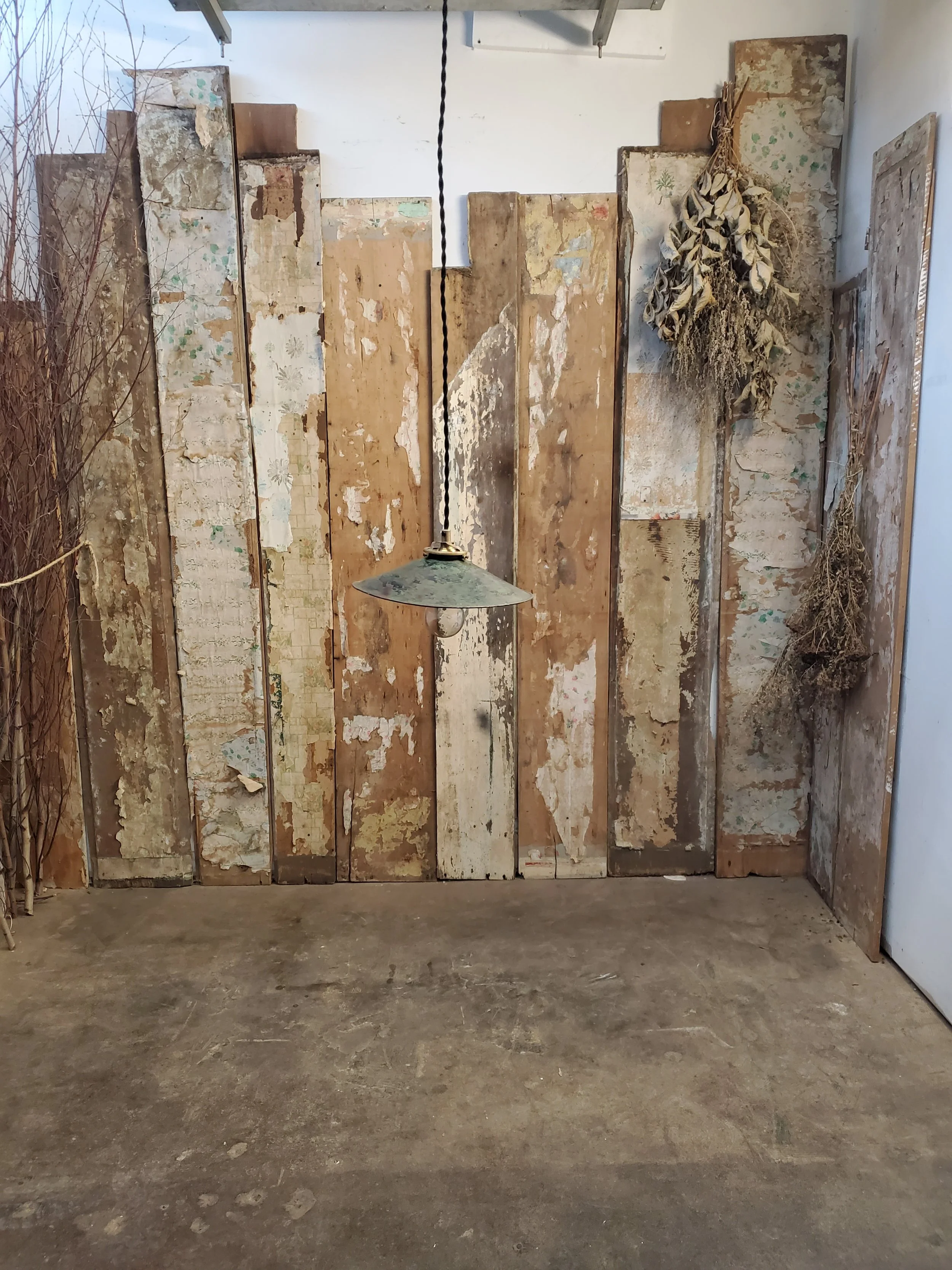 2026-02-15 14.33.44.jpg